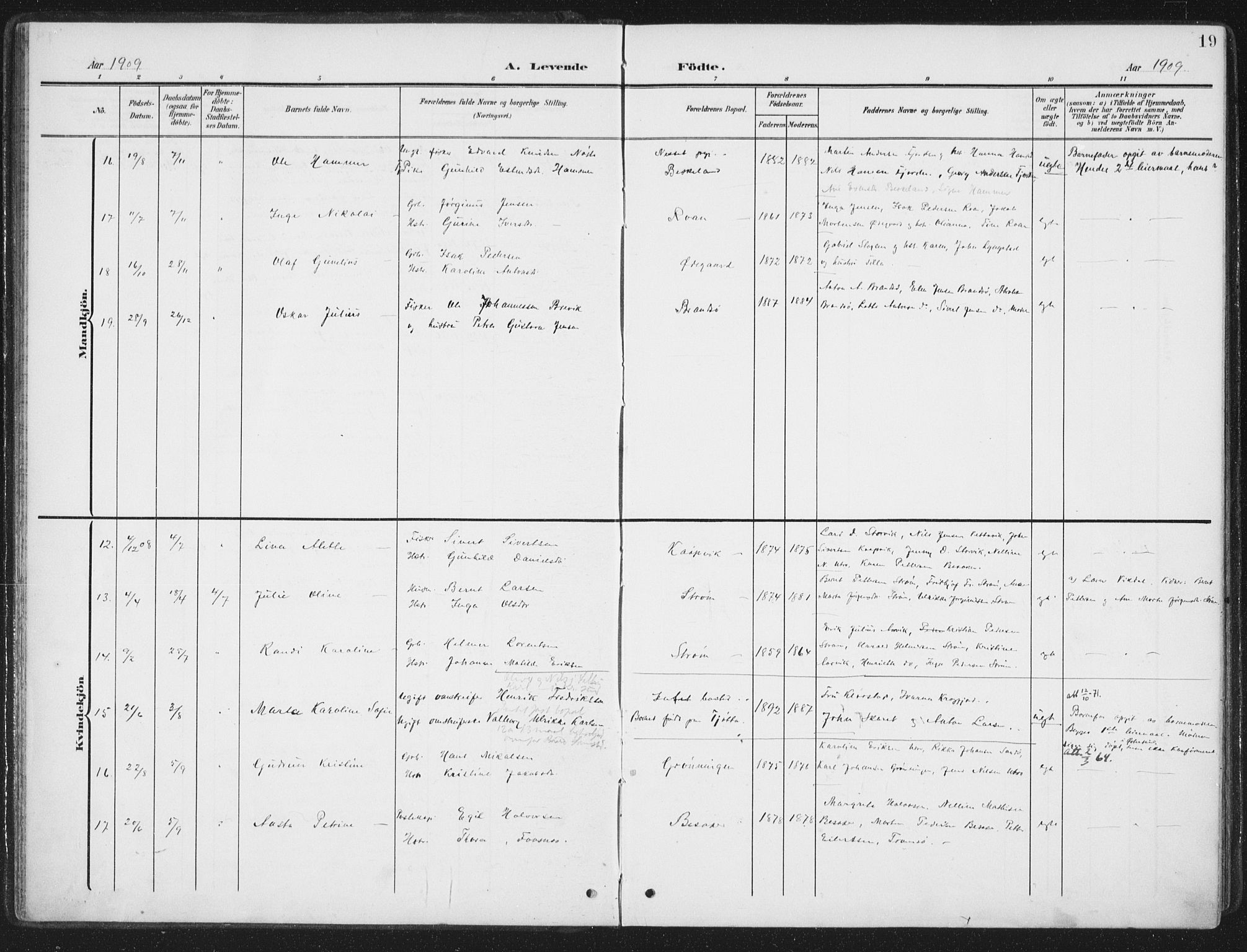 Ministerialprotokoller, klokkerbøker og fødselsregistre - Sør-Trøndelag, SAT/A-1456/657/L0709: Parish register (official) no. 657A10, 1905-1919, p. 19