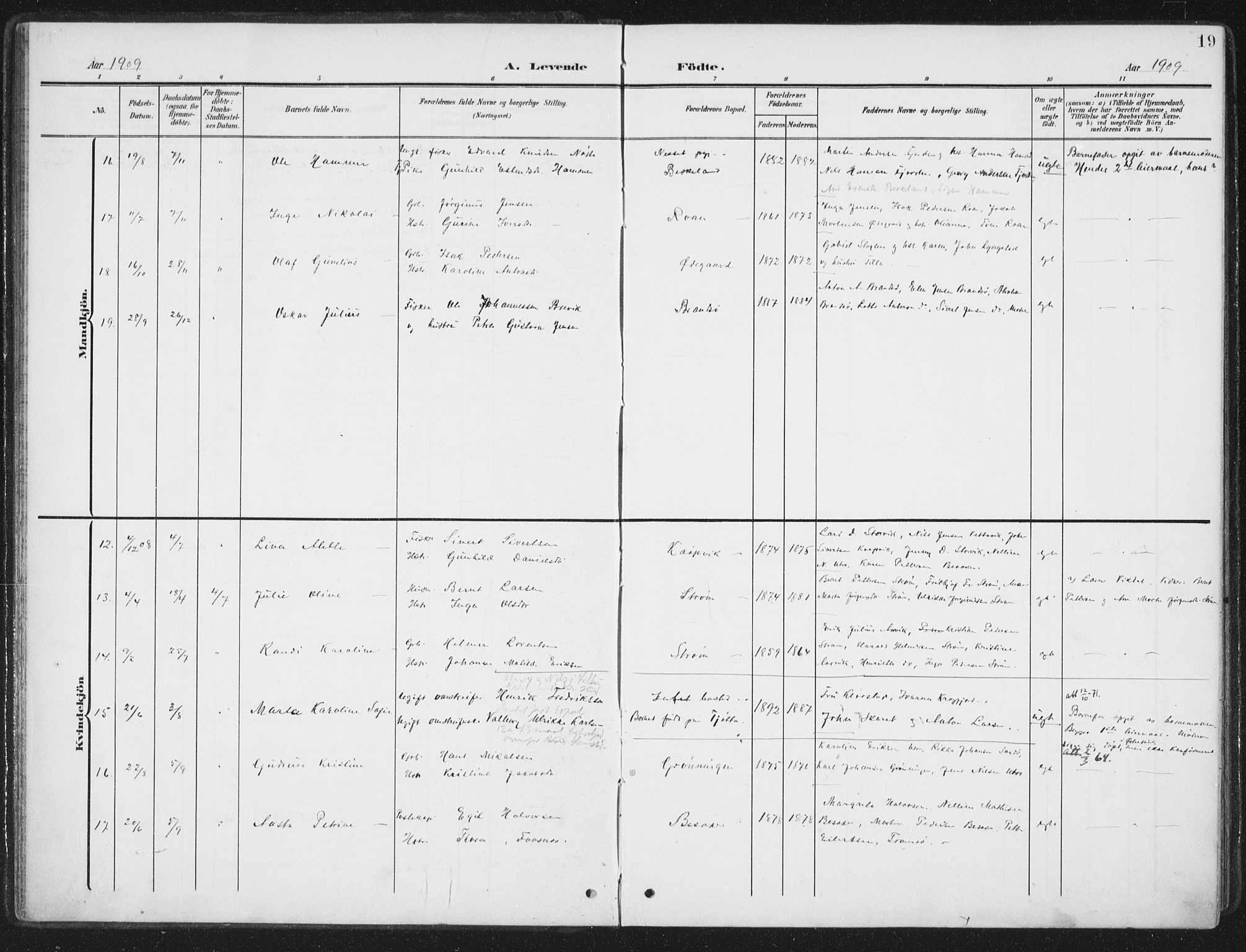 Ministerialprotokoller, klokkerbøker og fødselsregistre - Sør-Trøndelag, AV/SAT-A-1456/657/L0709: Parish register (official) no. 657A10, 1905-1919, p. 19
