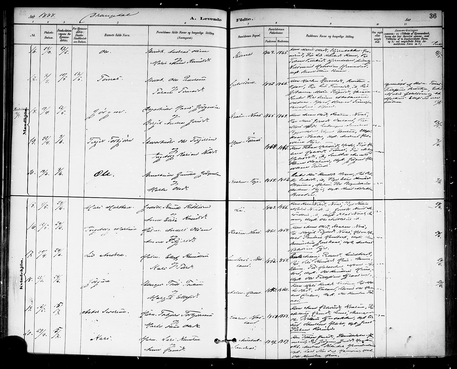 Drangedal kirkebøker, AV/SAKO-A-258/F/Fa/L0010: Parish register (official) no. 10 /1, 1885-1894, p. 36