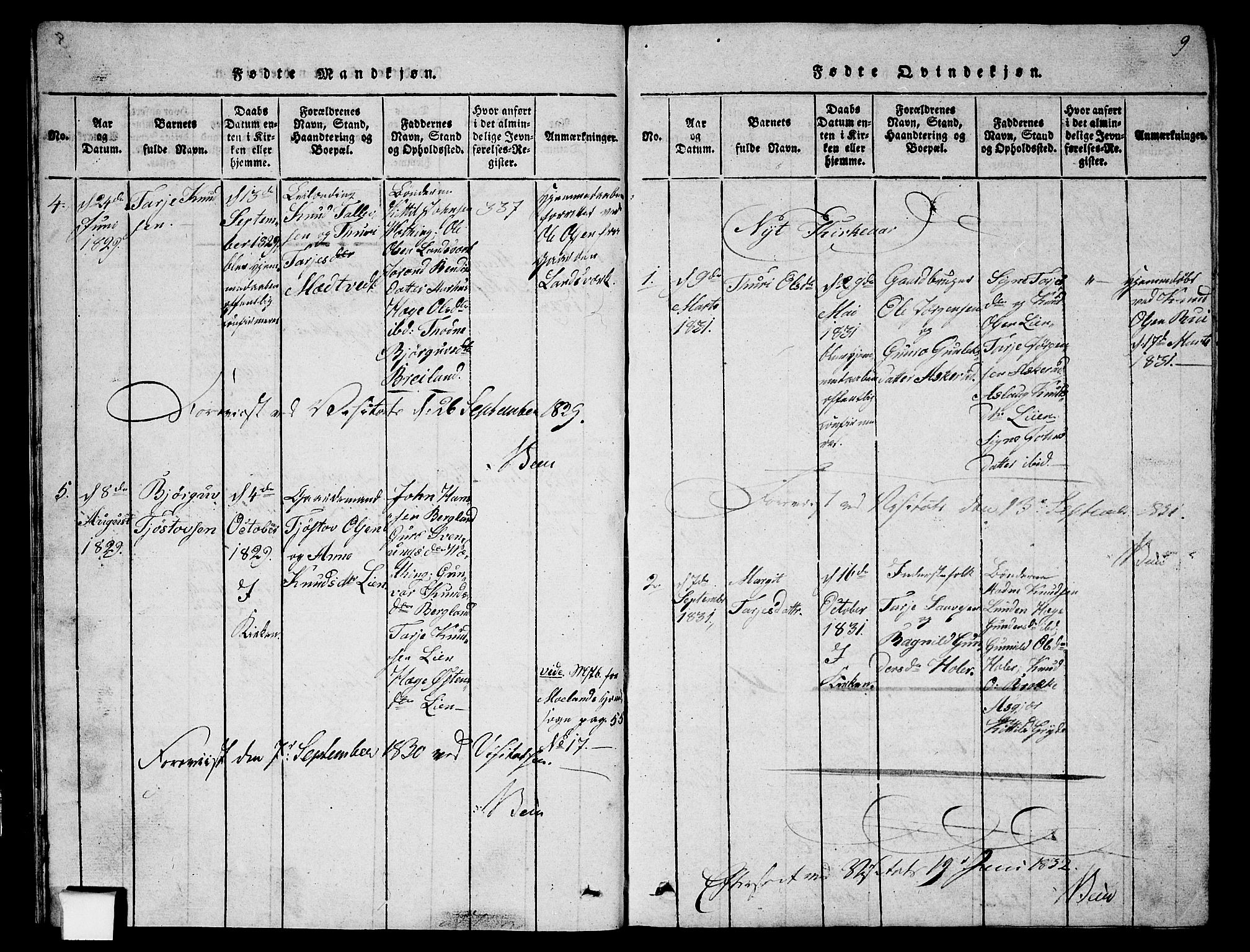Fyresdal kirkebøker, SAKO/A-263/G/Ga/L0002: Parish register (copy) no. I 2, 1815-1857, p. 9