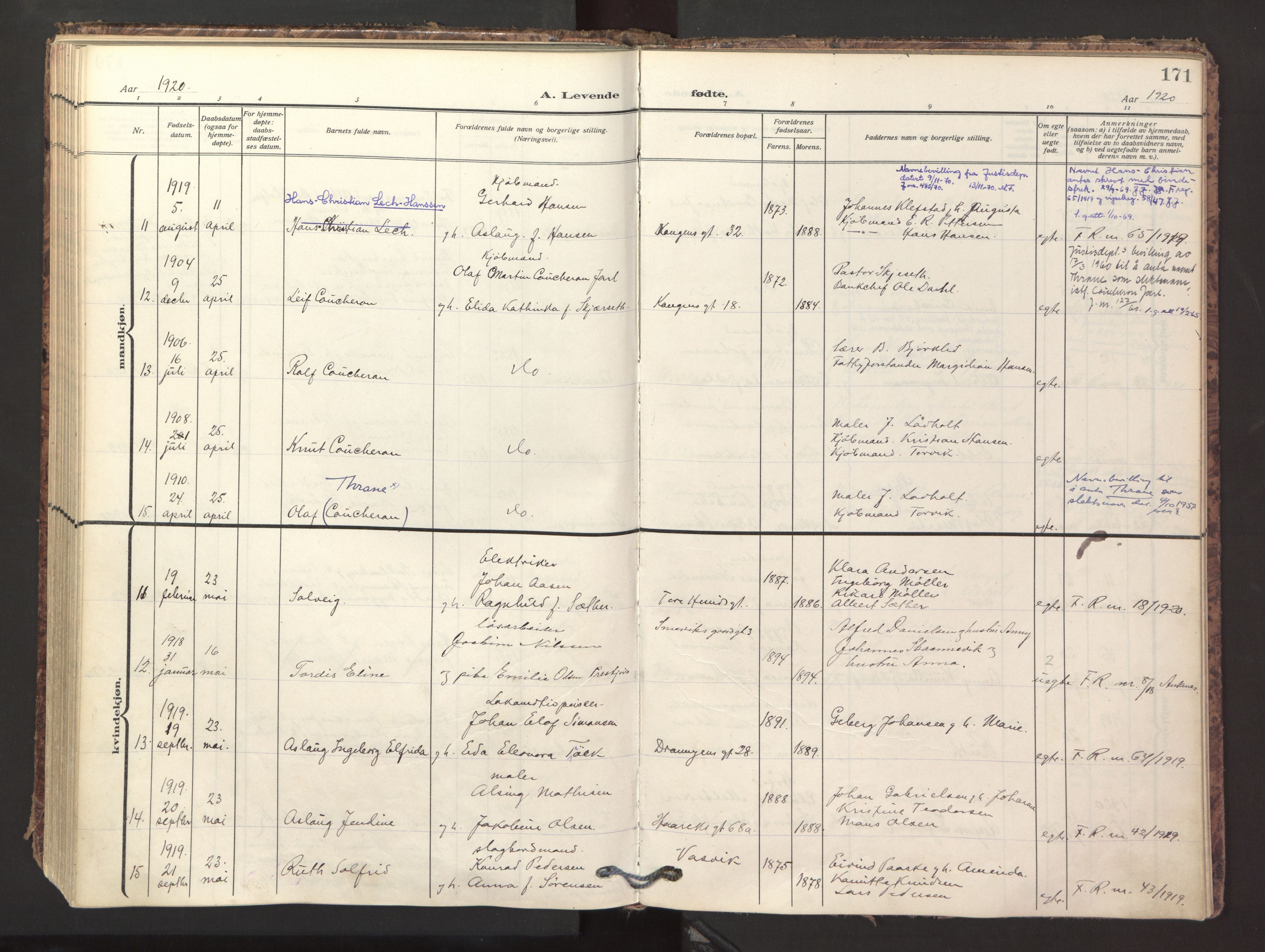 Ministerialprotokoller, klokkerbøker og fødselsregistre - Nordland, AV/SAT-A-1459/871/L1001: Parish register (official) no. 871A17, 1911-1921, p. 171