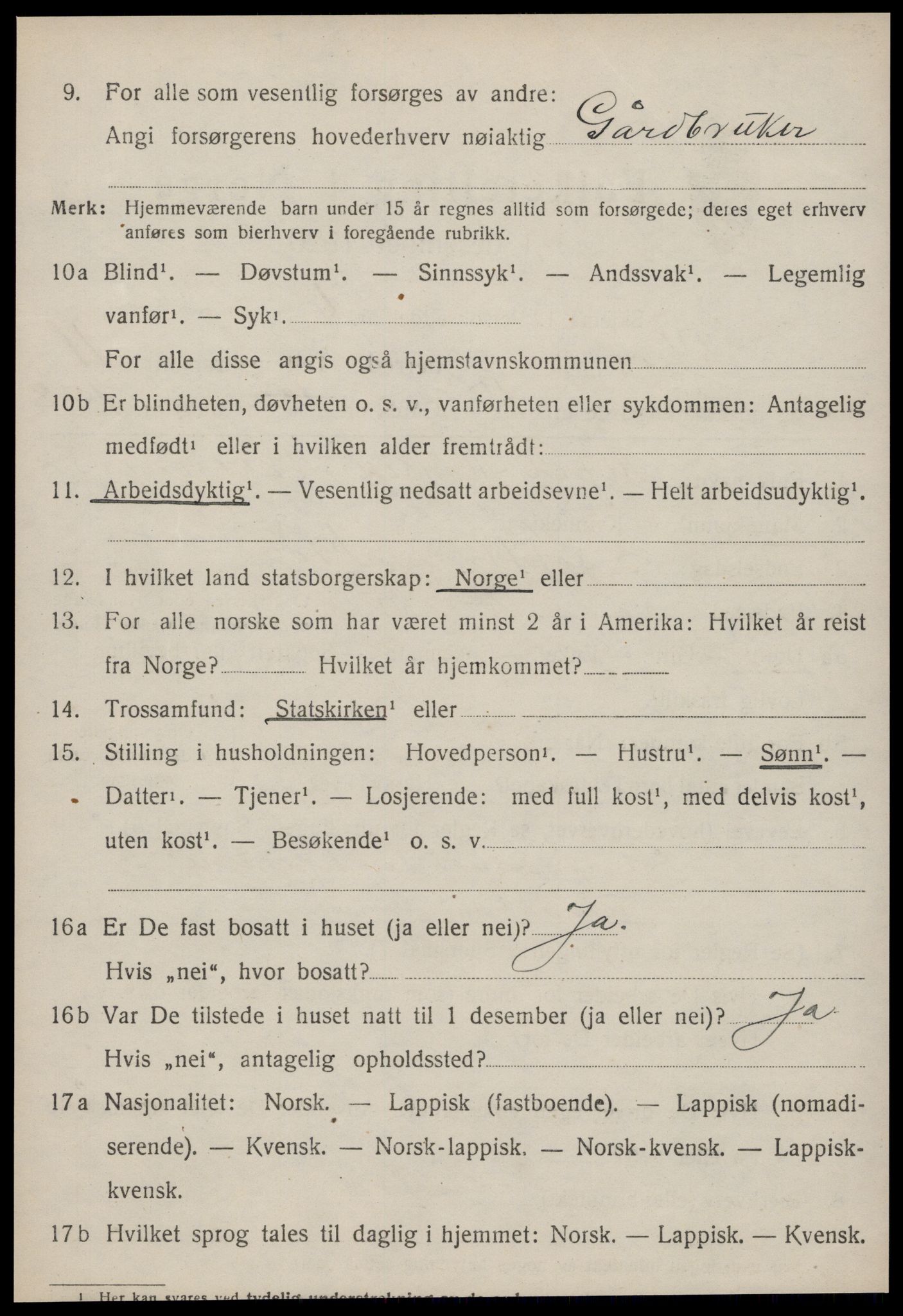 SAT, 1920 census for Røros, 1920, p. 8799