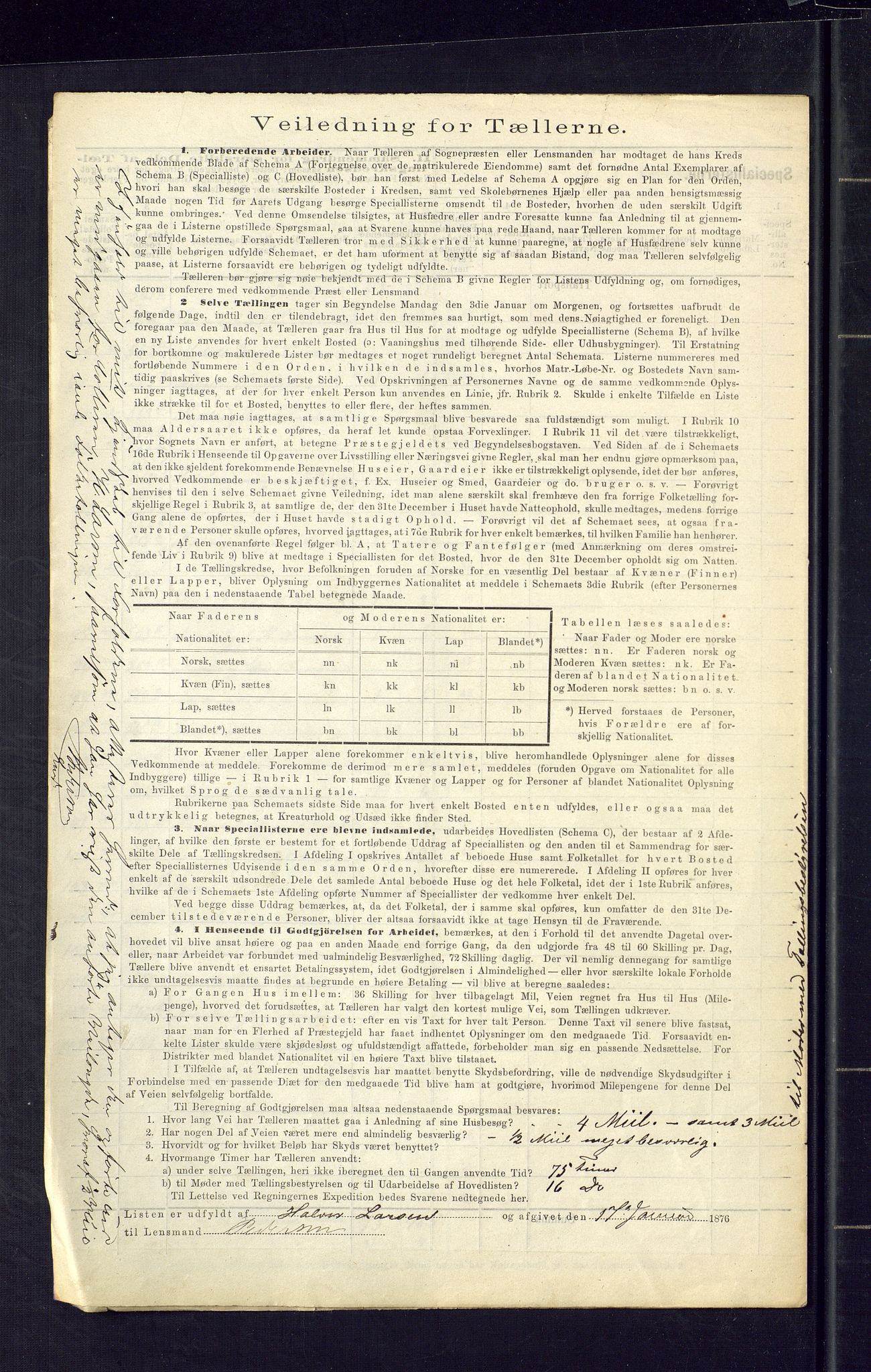 SAKO, 1875 census for 0811P Slemdal, 1875, p. 10