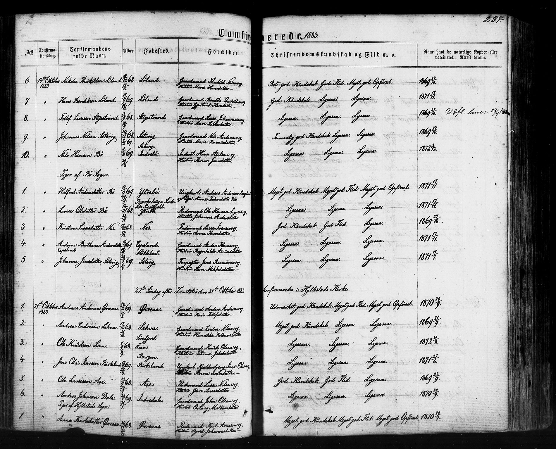 Hyllestad sokneprestembete, SAB/A-80401: Parish register (official) no. A 1, 1861-1886, p. 234