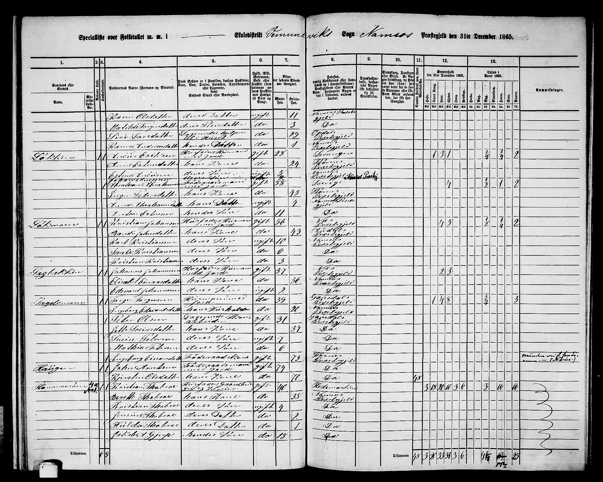 RA, 1865 census for Namsos/Vemundvik og Sævik, 1865, p. 19