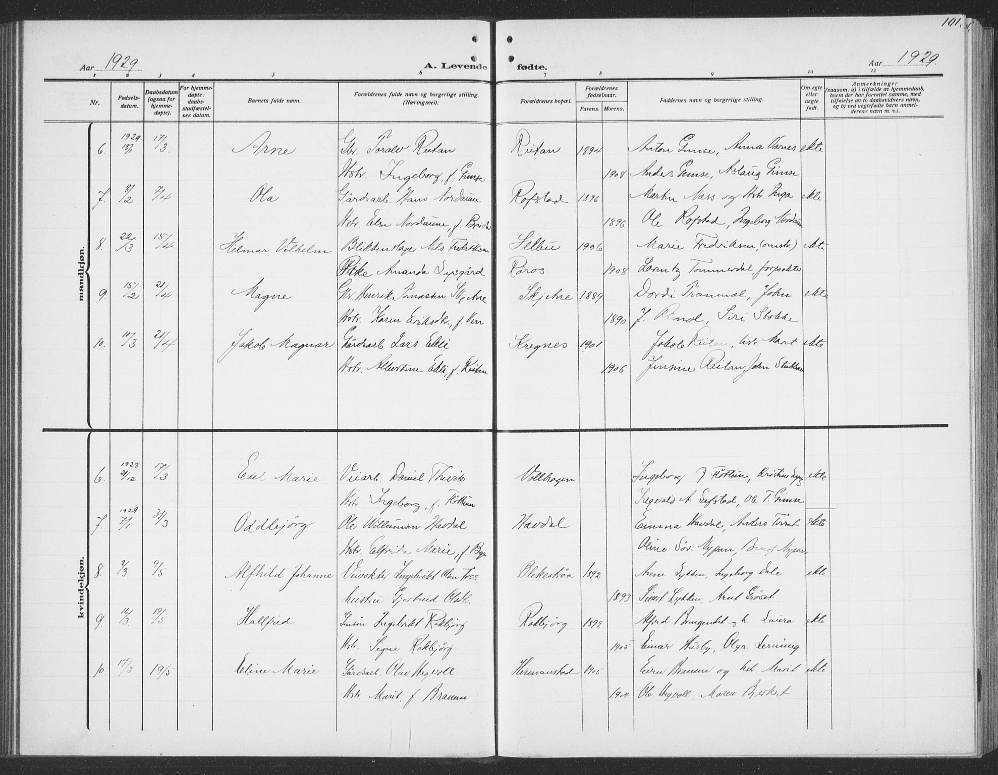 Ministerialprotokoller, klokkerbøker og fødselsregistre - Sør-Trøndelag, SAT/A-1456/691/L1095: Parish register (copy) no. 691C06, 1912-1933, p. 101