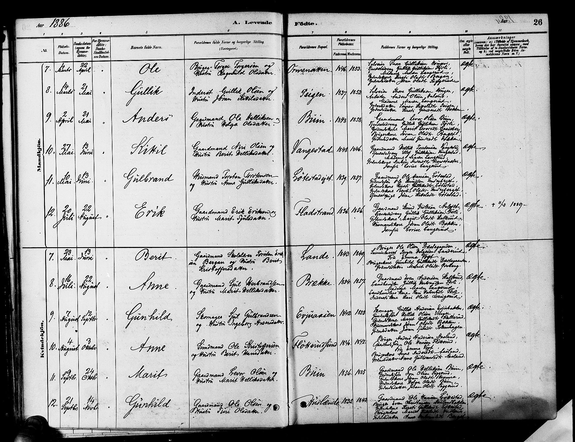 Flesberg kirkebøker, SAKO/A-18/F/Fa/L0008: Parish register (official) no. I 8, 1879-1899, p. 26