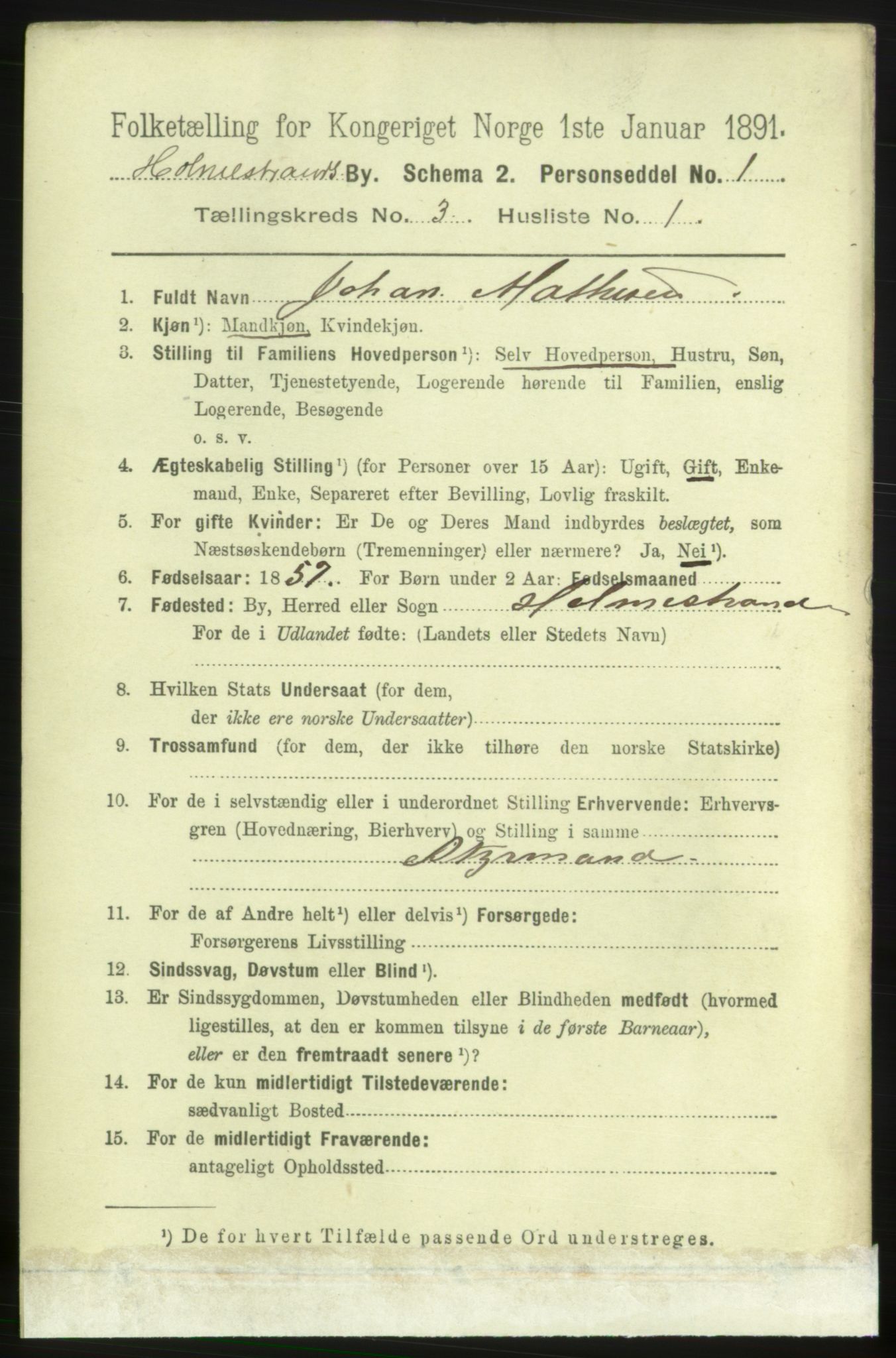 RA, 1891 census for 0702 Holmestrand, 1891, p. 1669