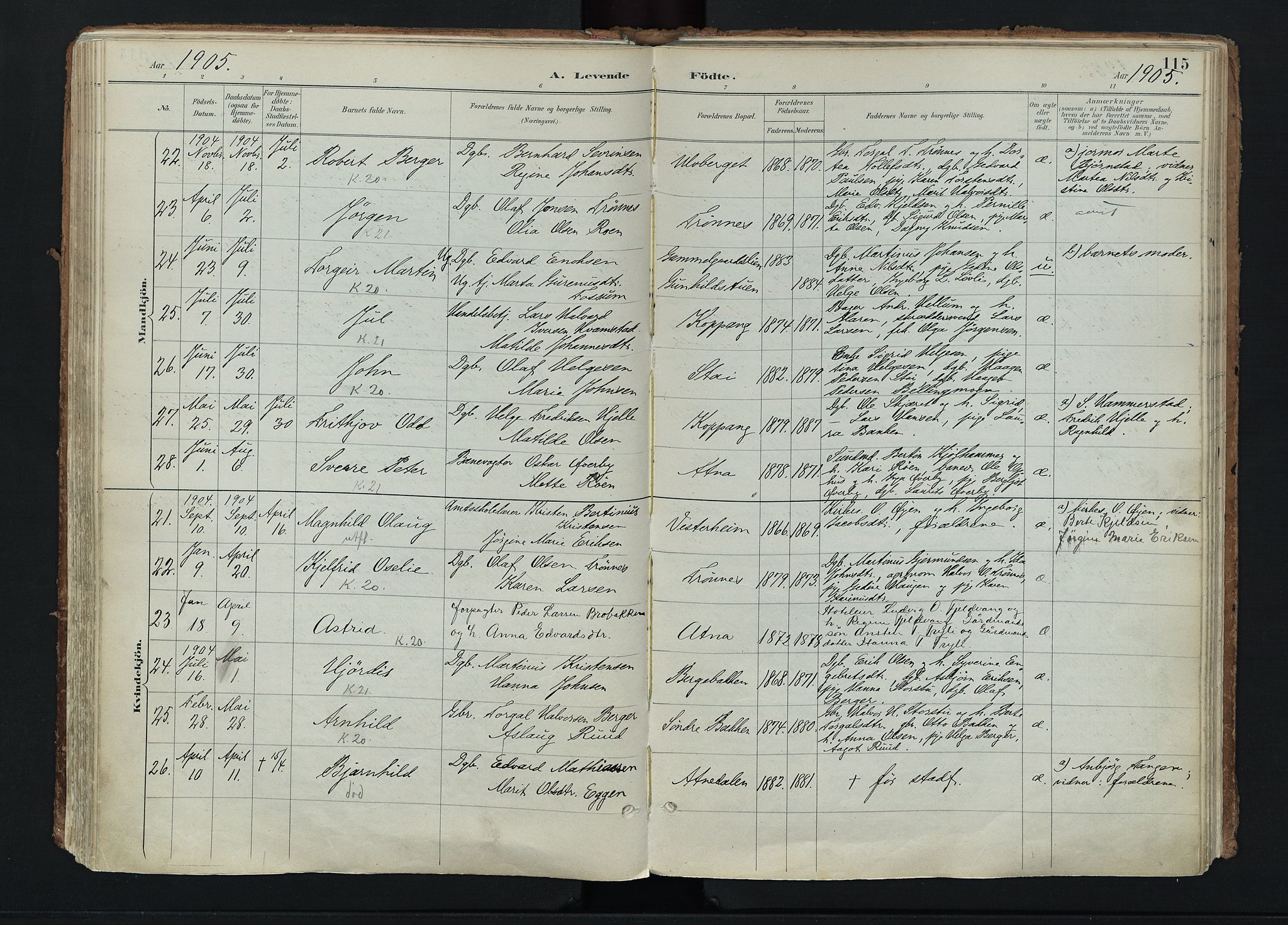 Stor-Elvdal prestekontor, AV/SAH-PREST-052/H/Ha/Haa/L0004: Parish register (official) no. 4, 1890-1922, p. 115