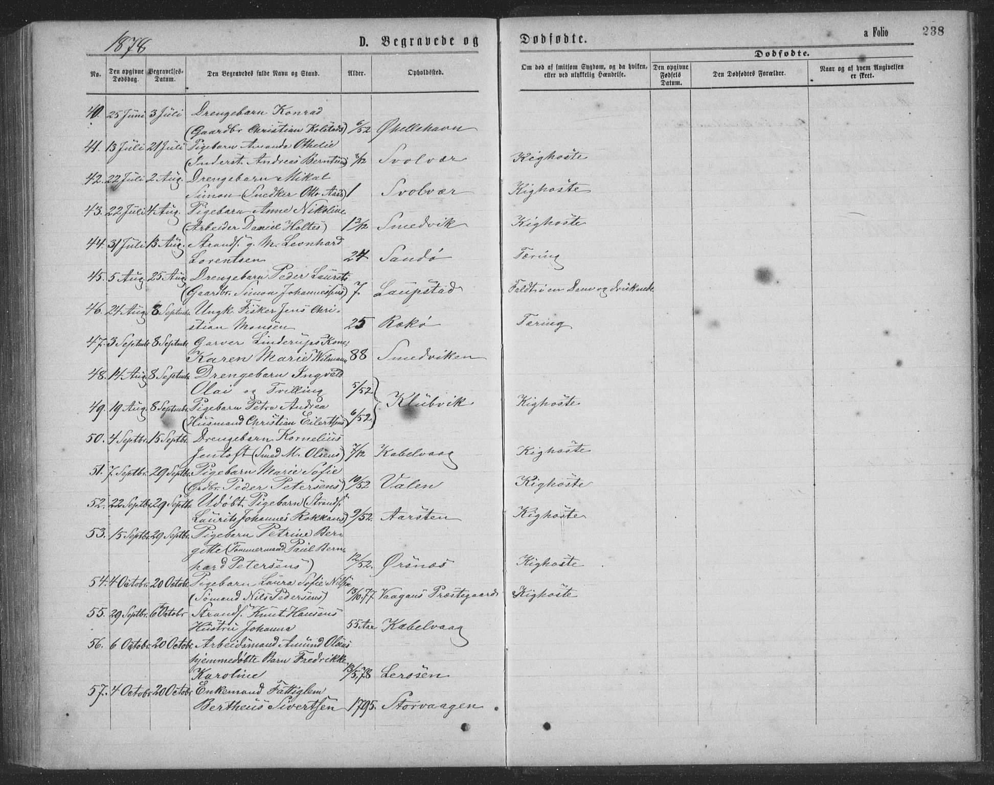 Ministerialprotokoller, klokkerbøker og fødselsregistre - Nordland, SAT/A-1459/874/L1075: Parish register (copy) no. 874C04, 1876-1883, p. 238