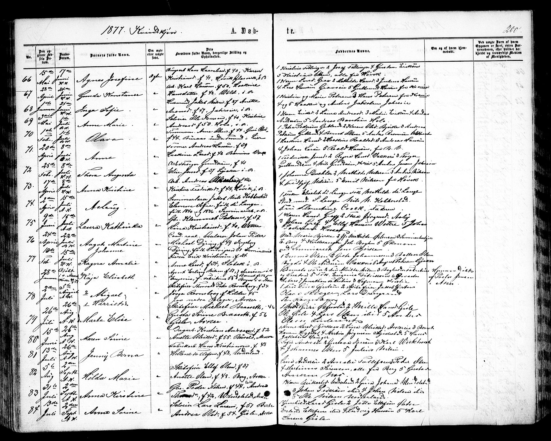 Asker prestekontor Kirkebøker, SAO/A-10256a/F/Fa/L0008: Parish register (official) no. I 8, 1865-1878, p. 200