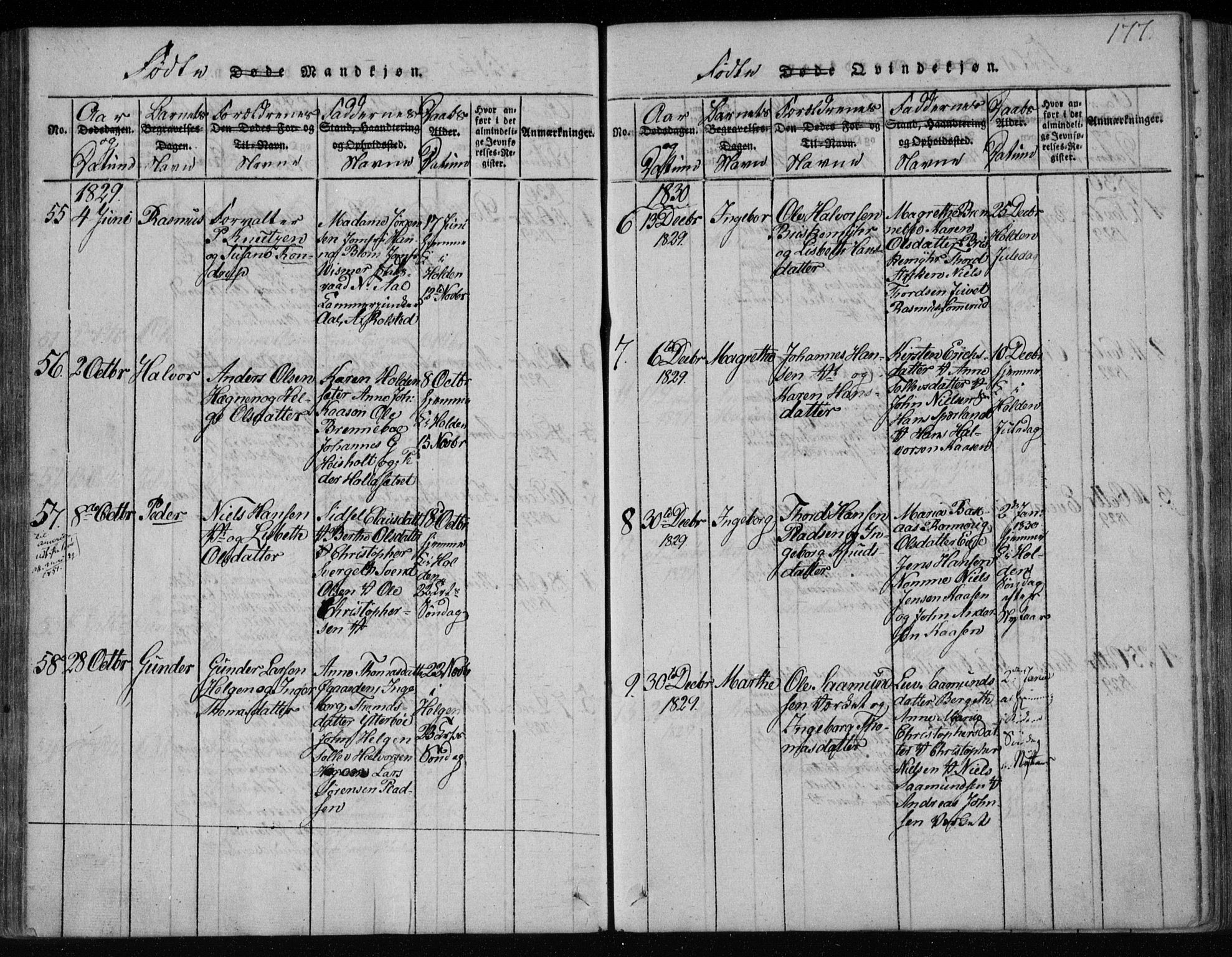 Holla kirkebøker, AV/SAKO-A-272/F/Fa/L0003: Parish register (official) no. 3, 1815-1830, p. 177