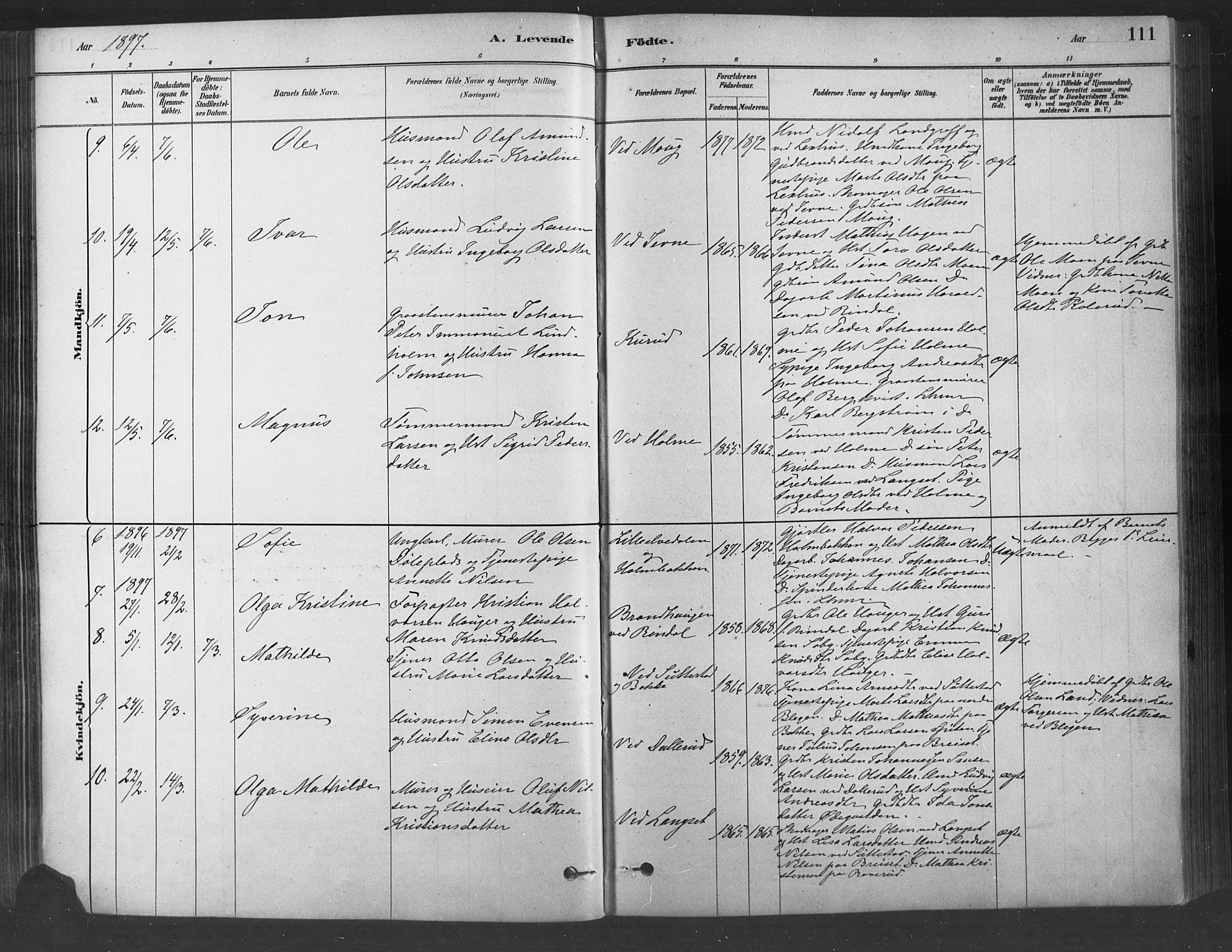 Fåberg prestekontor, AV/SAH-PREST-086/H/Ha/Haa/L0009: Parish register (official) no. 9, 1879-1898, p. 111