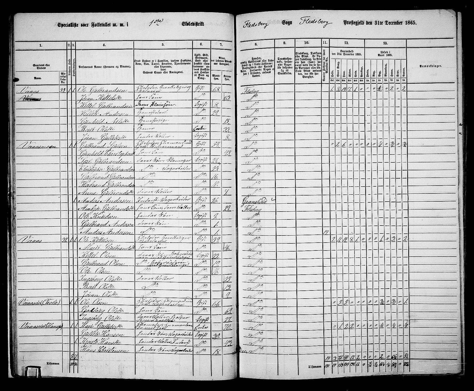 RA, 1865 census for Flesberg, 1865, p. 19