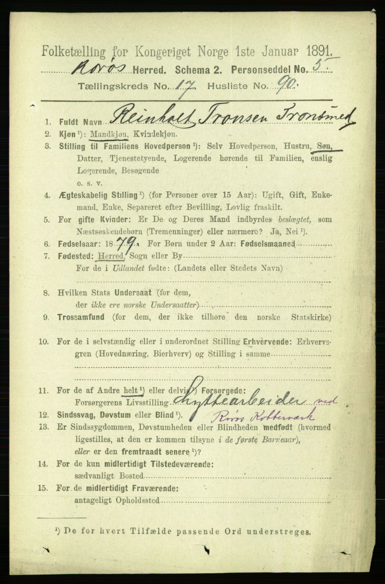 RA, 1891 census for 1640 Røros, 1891, p. 4794