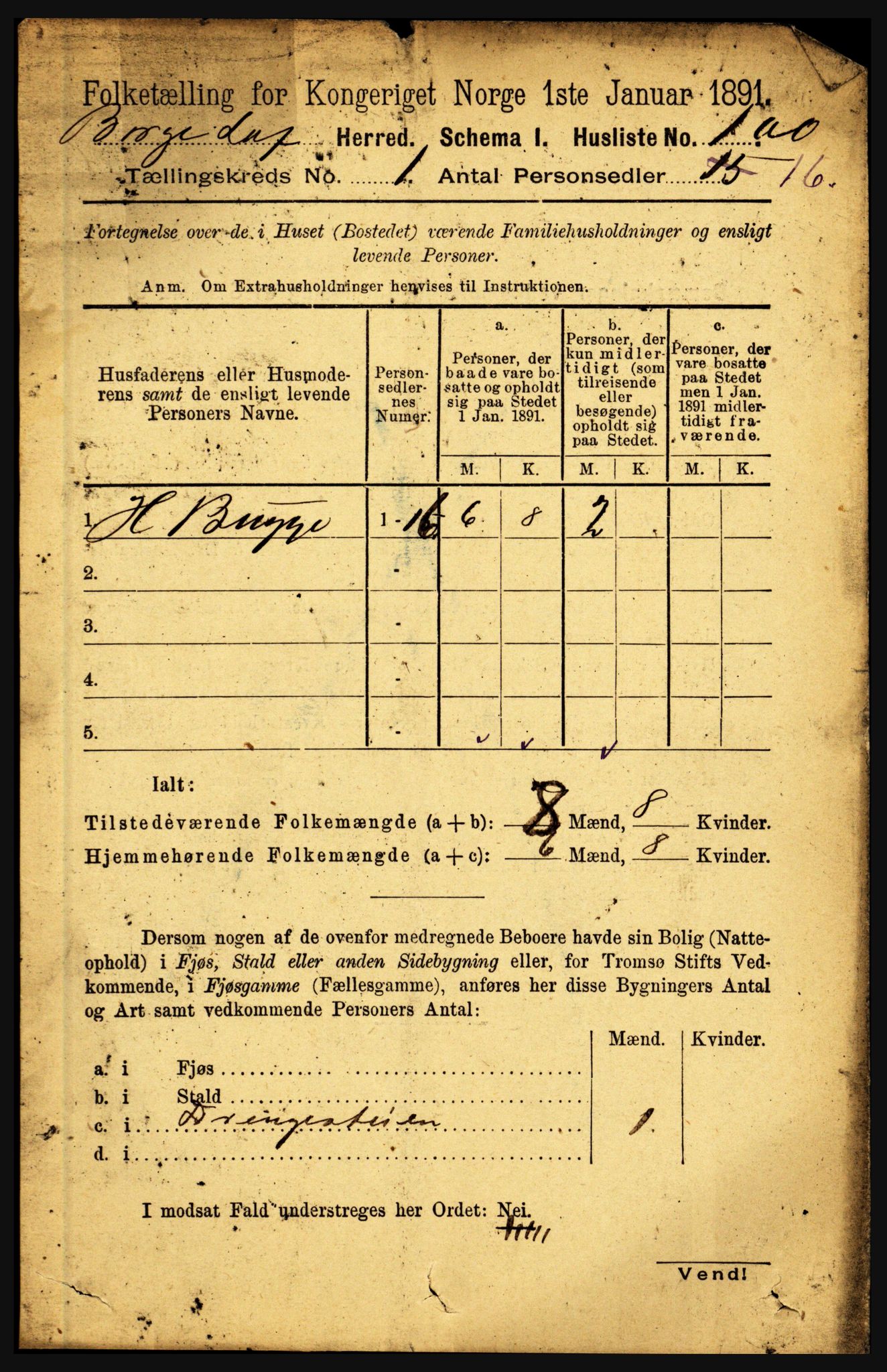 RA, 1891 census for 1862 Borge, 1891, p. 125