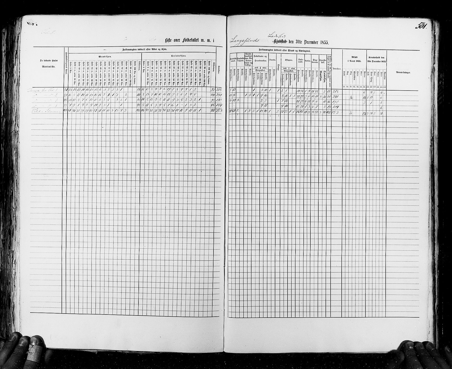 RA, Census 1855, vol. 7: Fredrikshald-Kragerø, 1855, p. 501