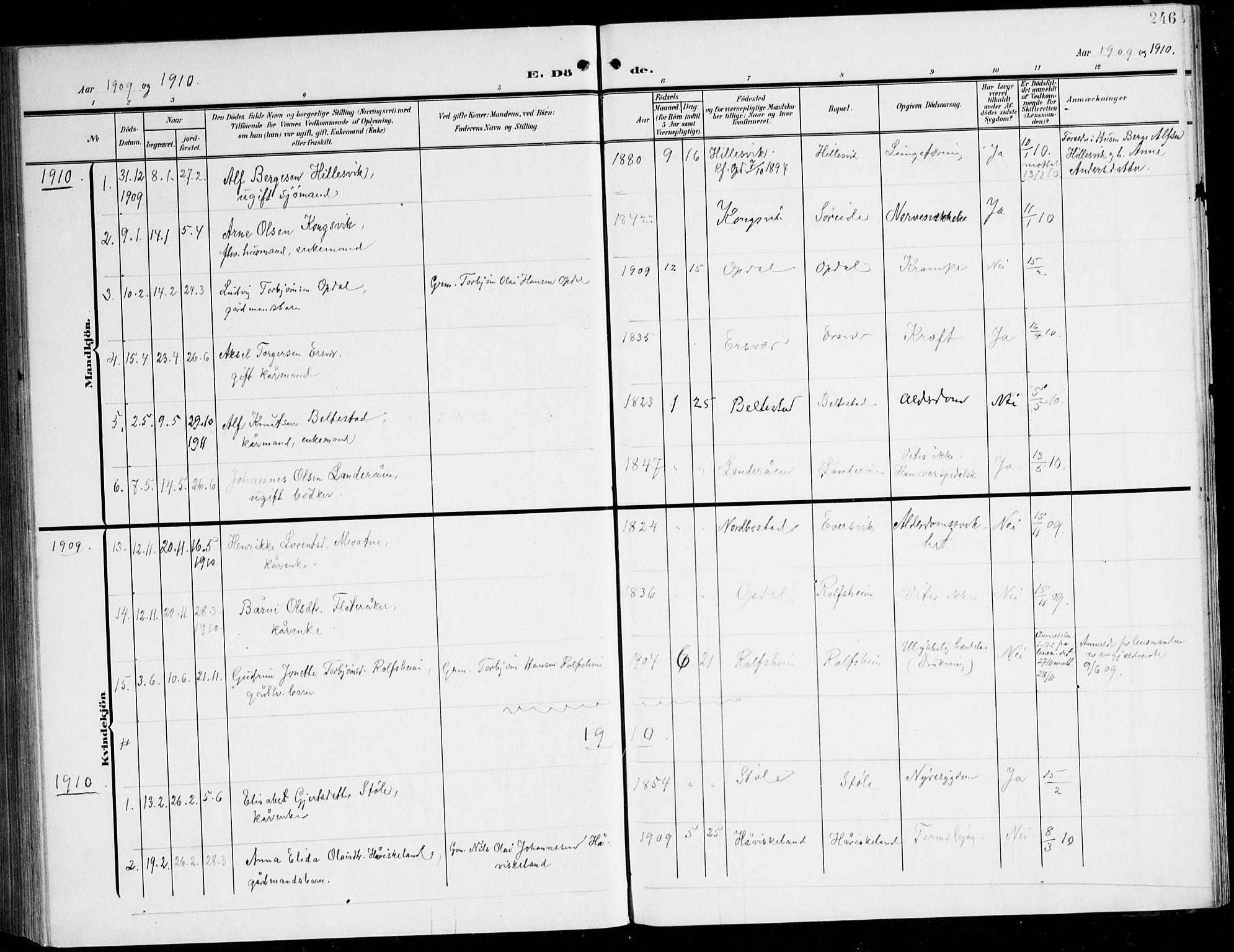 Tysnes sokneprestembete, AV/SAB-A-78601/H/Haa: Parish register (official) no. D 2, 1905-1922, p. 246