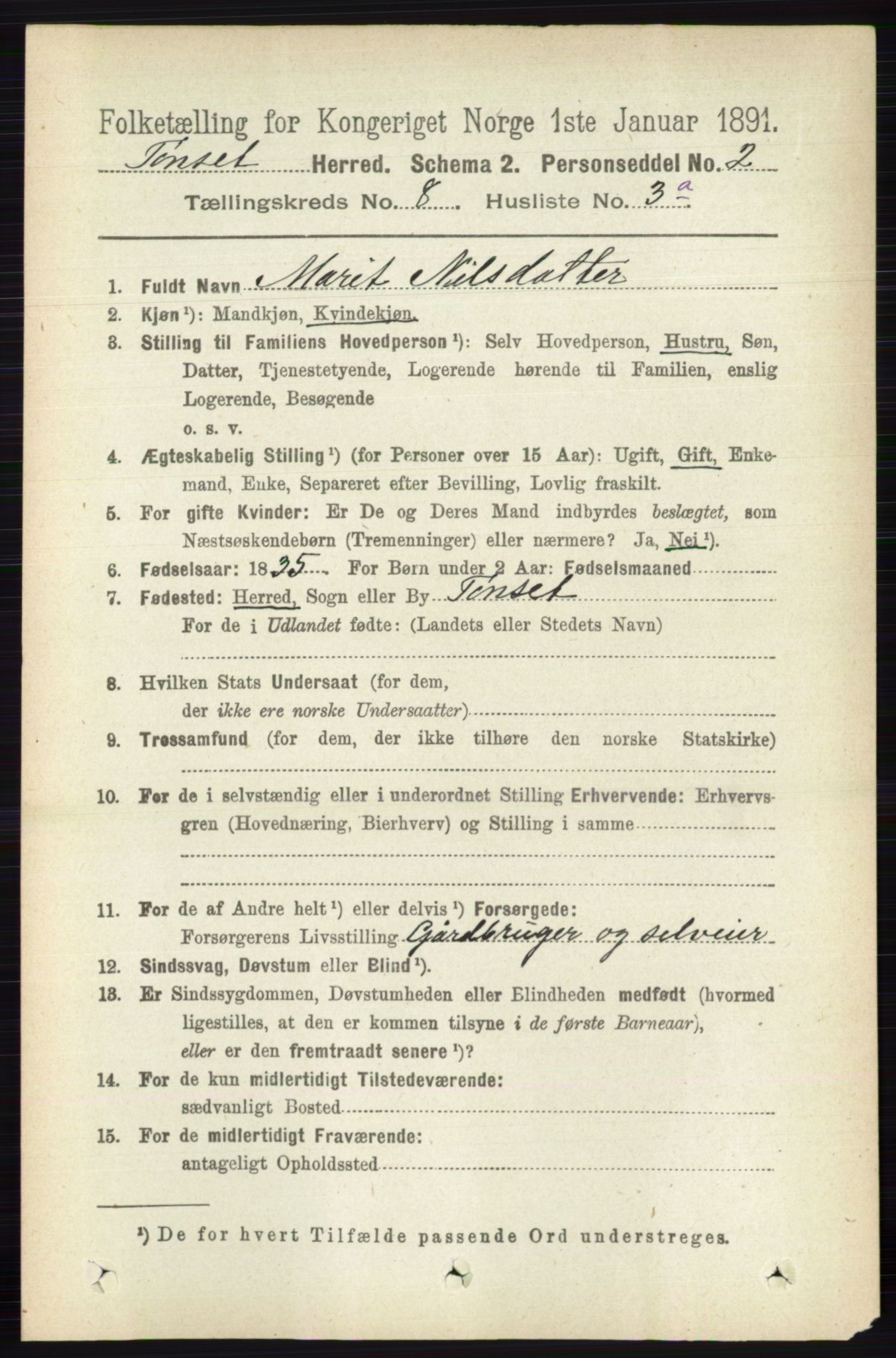 RA, 1891 census for 0437 Tynset, 1891, p. 2085