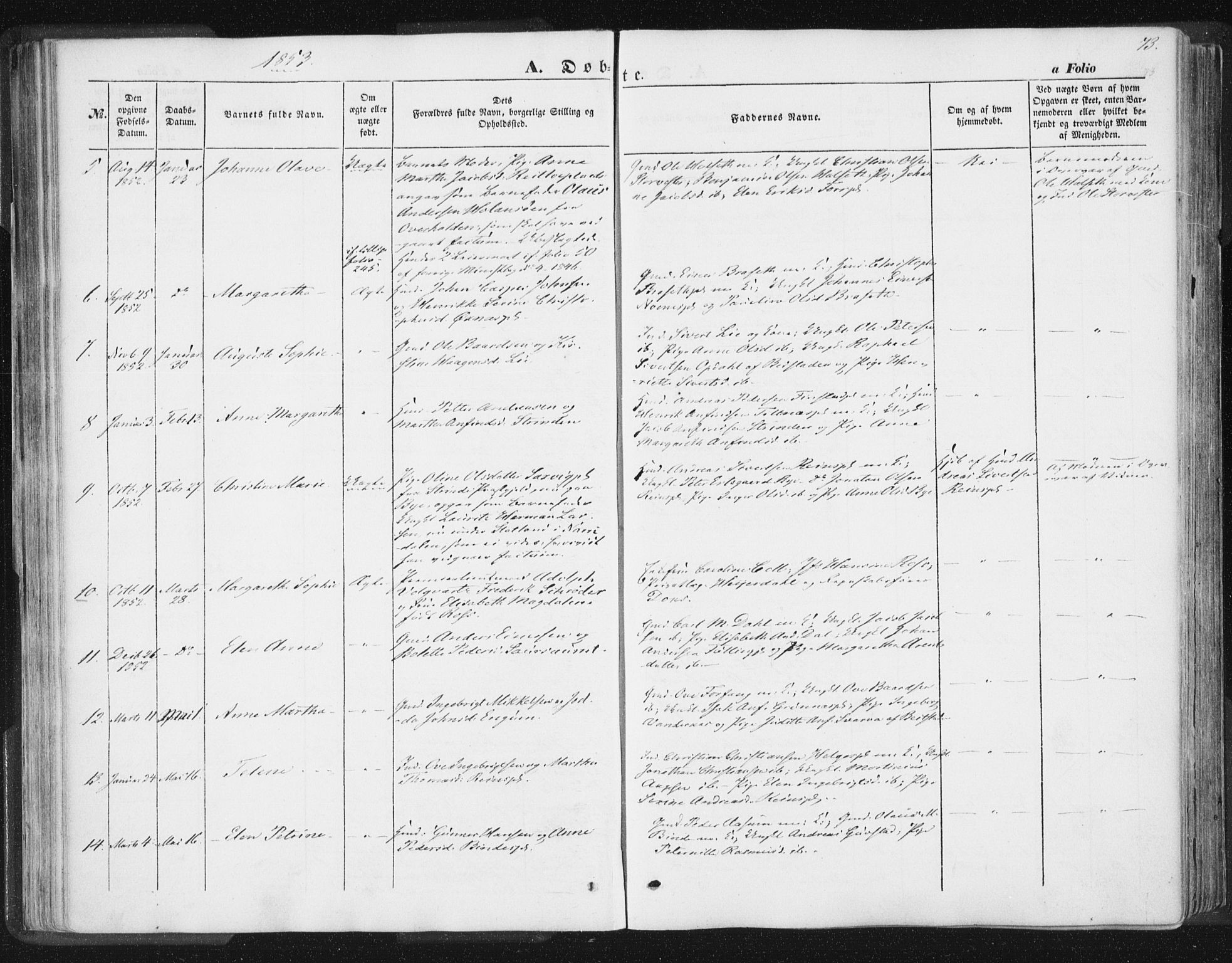 Ministerialprotokoller, klokkerbøker og fødselsregistre - Nord-Trøndelag, SAT/A-1458/746/L0446: Parish register (official) no. 746A05, 1846-1859, p. 73