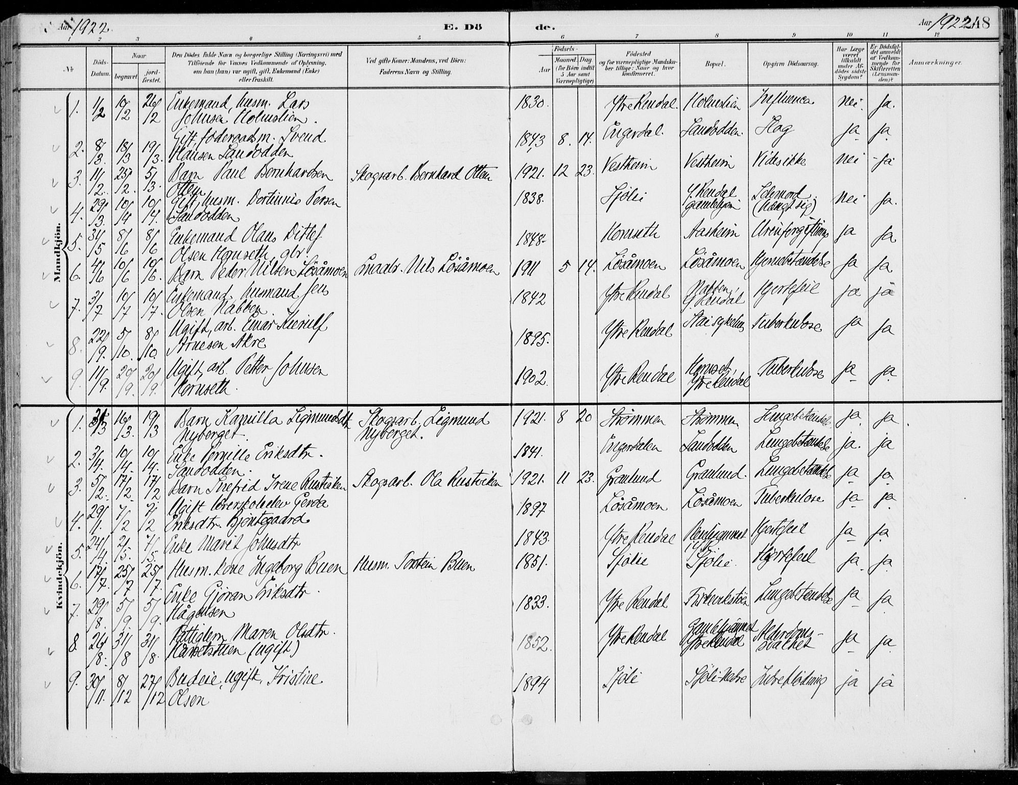 Rendalen prestekontor, SAH/PREST-054/H/Ha/Haa/L0011: Parish register (official) no. 11, 1901-1925, p. 248
