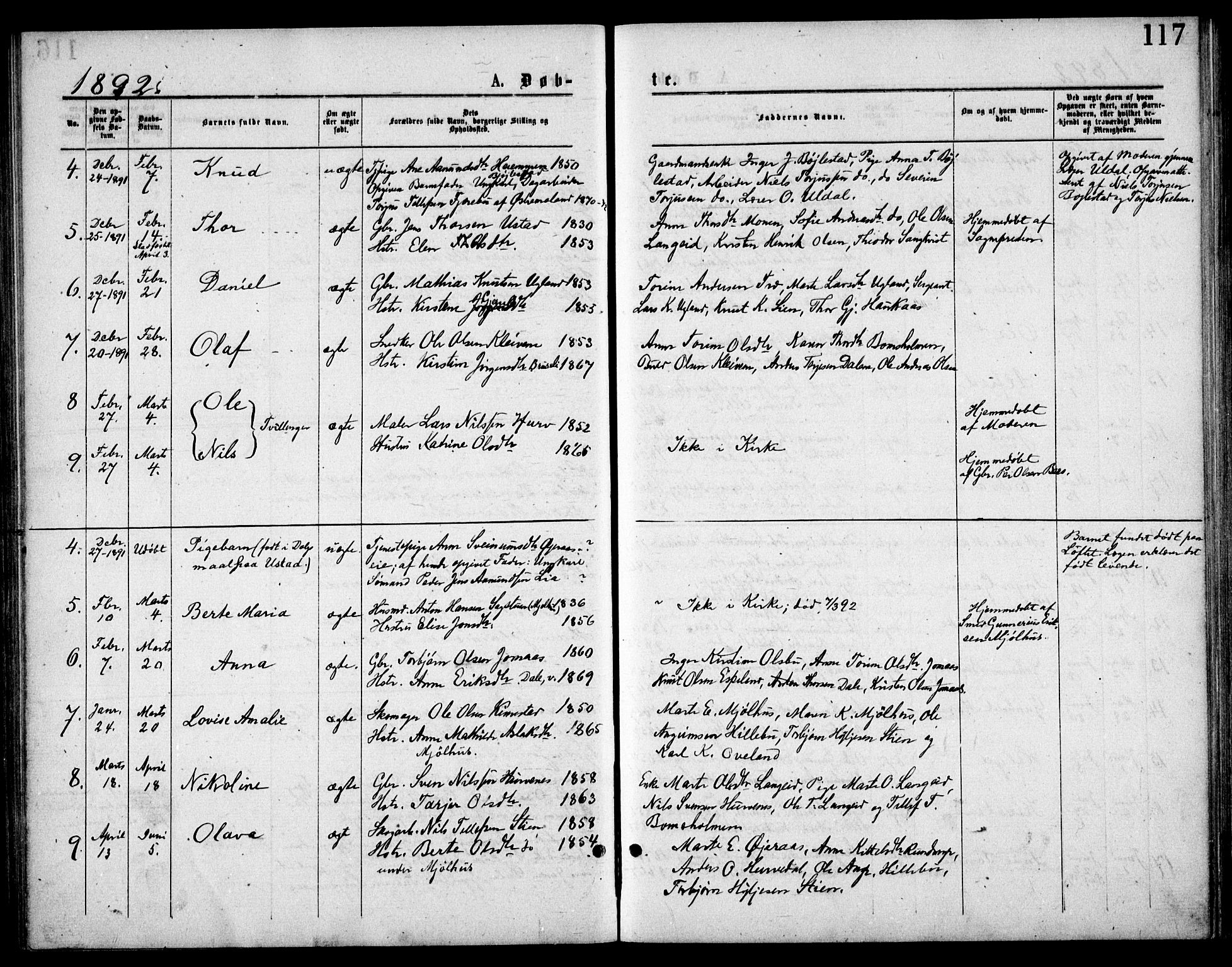 Froland sokneprestkontor, SAK/1111-0013/F/Fb/L0009: Parish register (copy) no. B 9, 1875-1893, p. 117