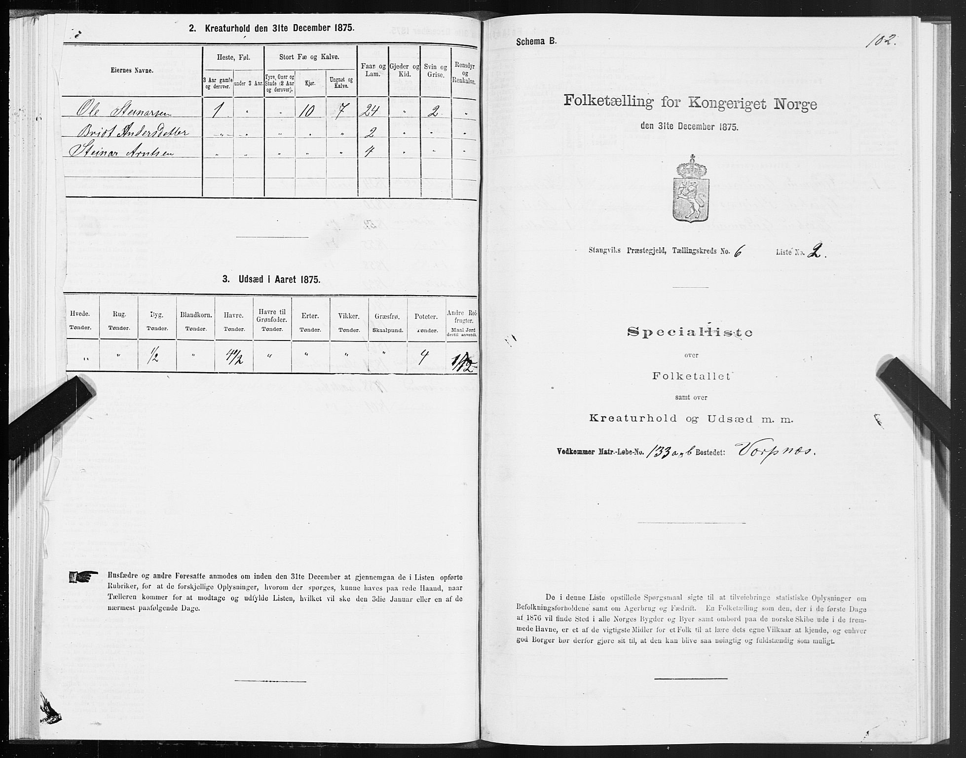 SAT, 1875 census for 1564P Stangvik, 1875, p. 3102