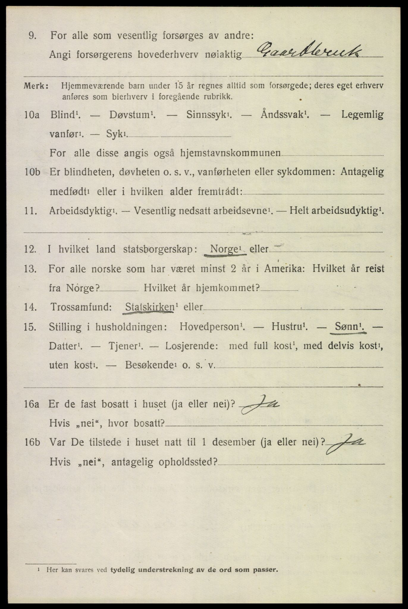 SAH, 1920 census for Elverum, 1920, p. 24917