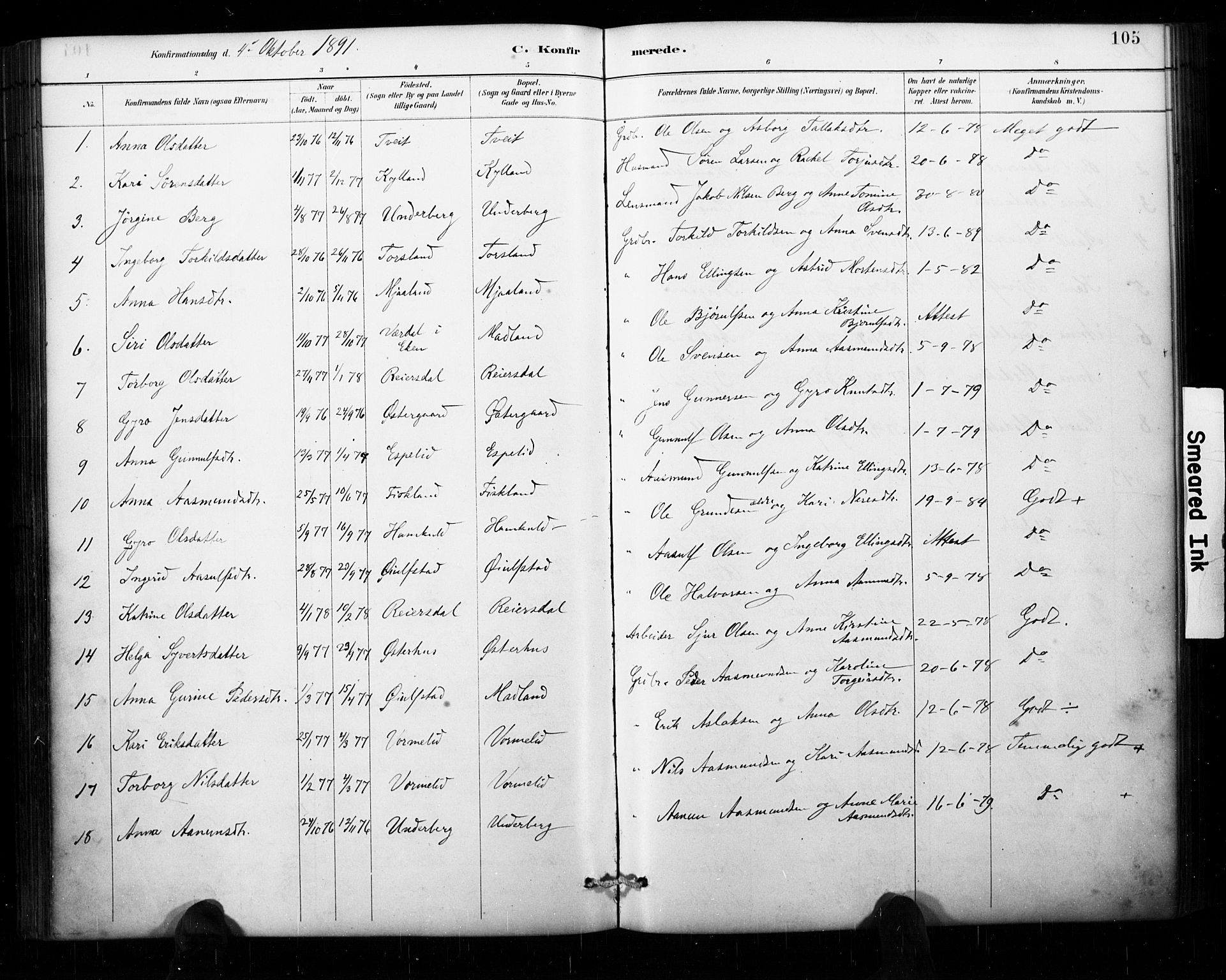 Åseral sokneprestkontor, AV/SAK-1111-0051/F/Fa/L0003: Parish register (official) no. A 3, 1884-1901, p. 105