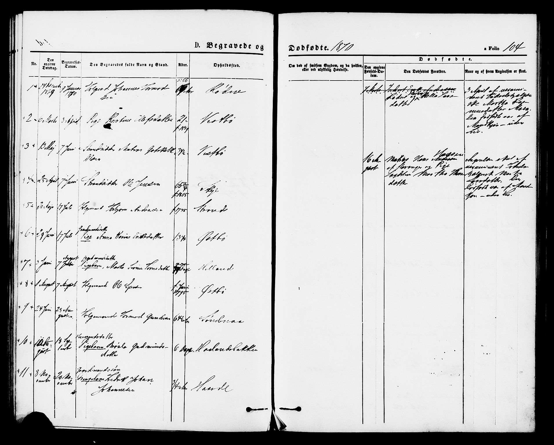 Vikedal sokneprestkontor, AV/SAST-A-101840/01/IV: Parish register (official) no. A 8, 1868-1885, p. 104