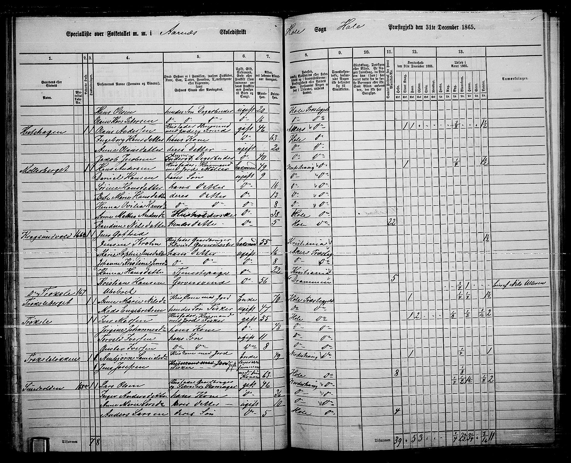 RA, 1865 census for Hole, 1865, p. 55