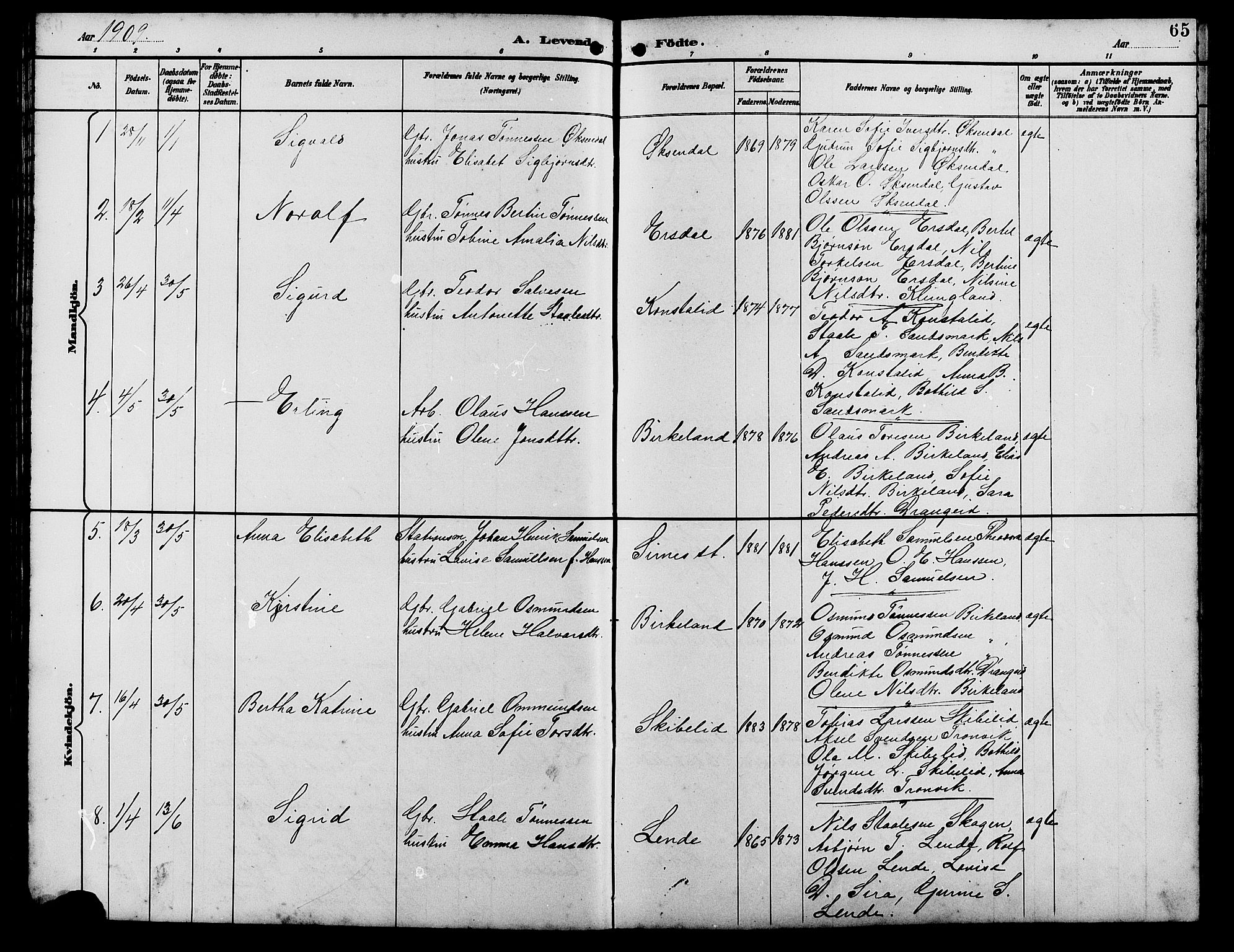 Bakke sokneprestkontor, SAK/1111-0002/F/Fb/Fba/L0003: Parish register (copy) no. B 3, 1894-1910, p. 65