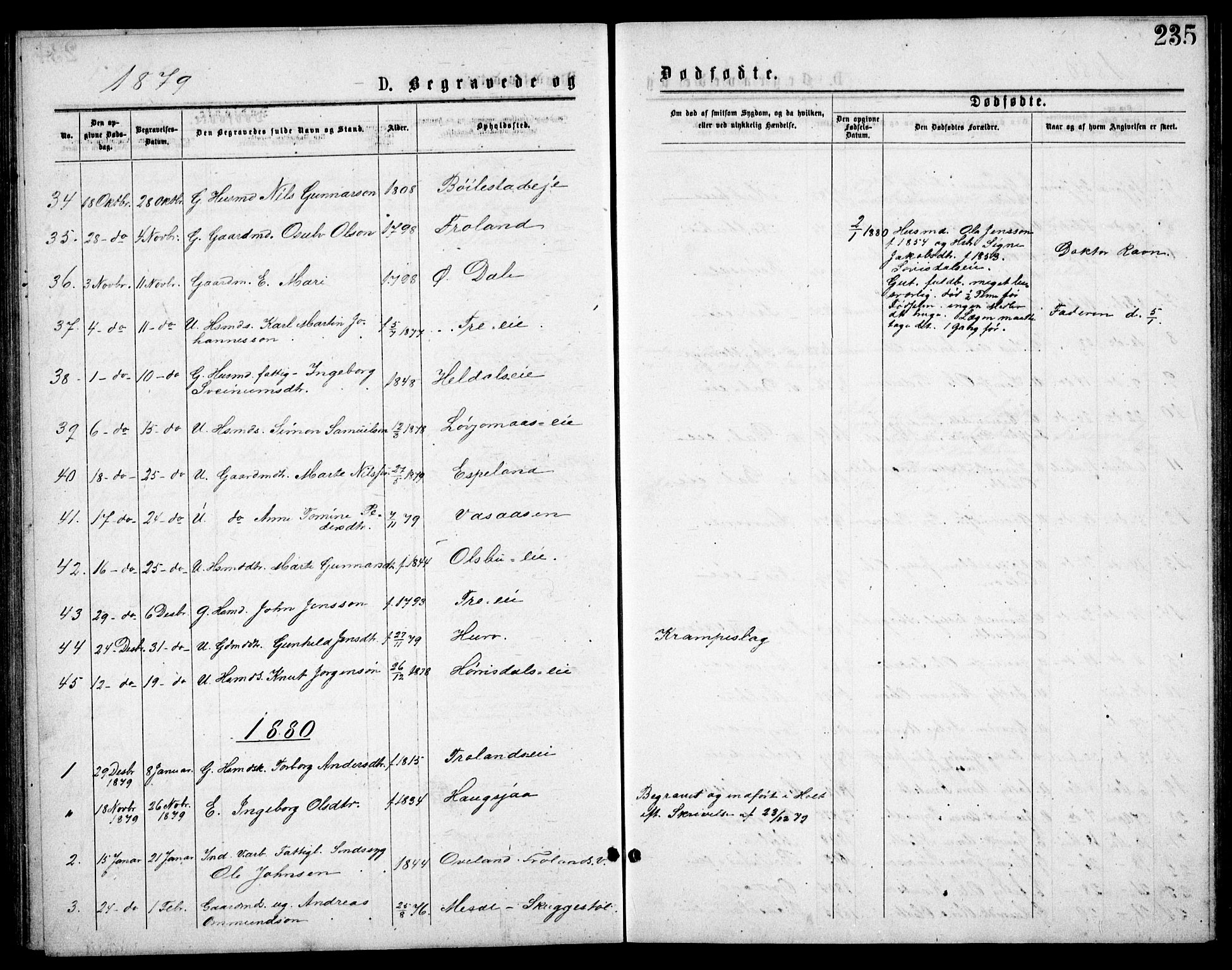 Froland sokneprestkontor, AV/SAK-1111-0013/F/Fb/L0009: Parish register (copy) no. B 9, 1875-1893, p. 235