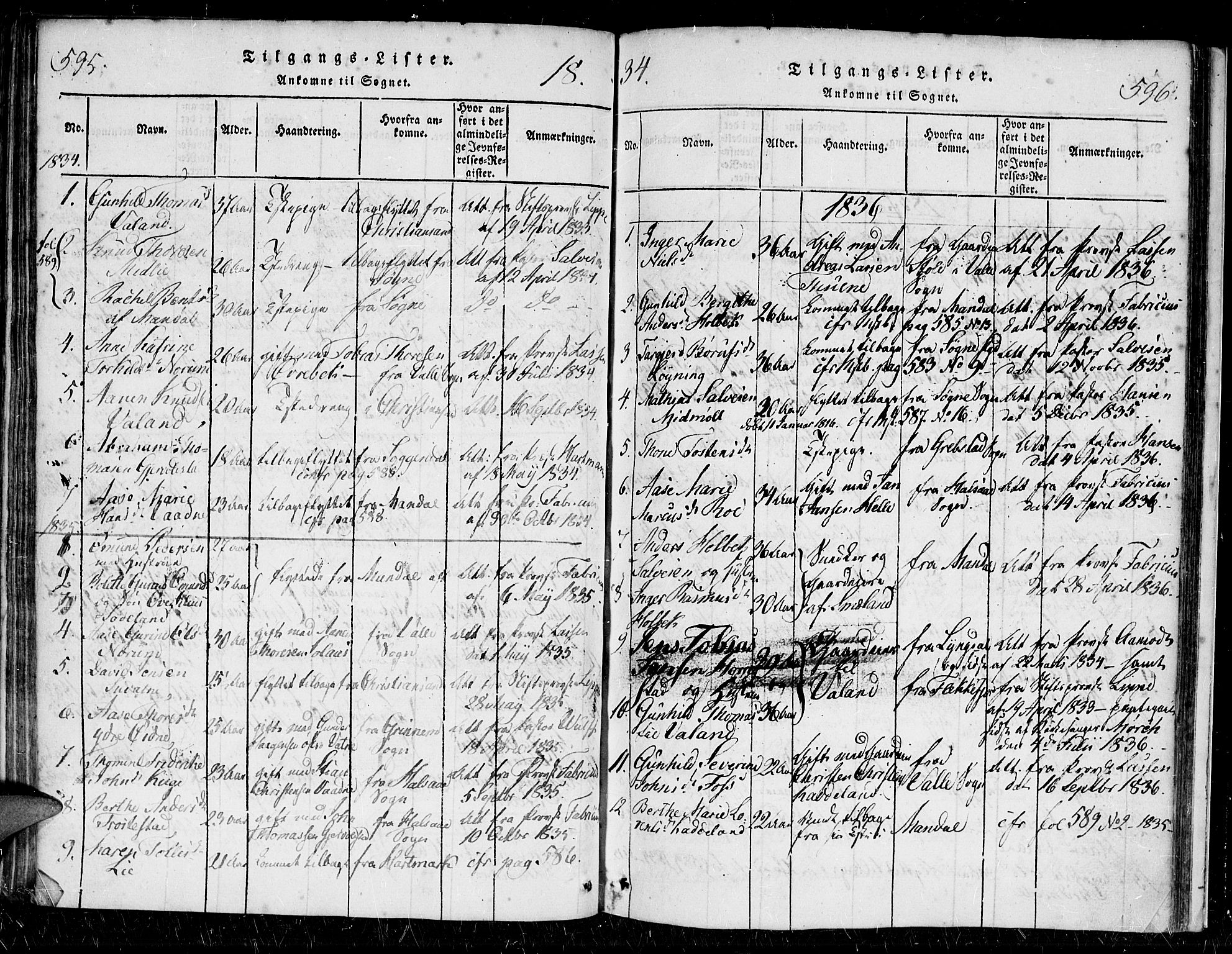 Holum sokneprestkontor, SAK/1111-0022/F/Fa/Faa/L0004: Parish register (official) no. A 4, 1820-1849, p. 595-596