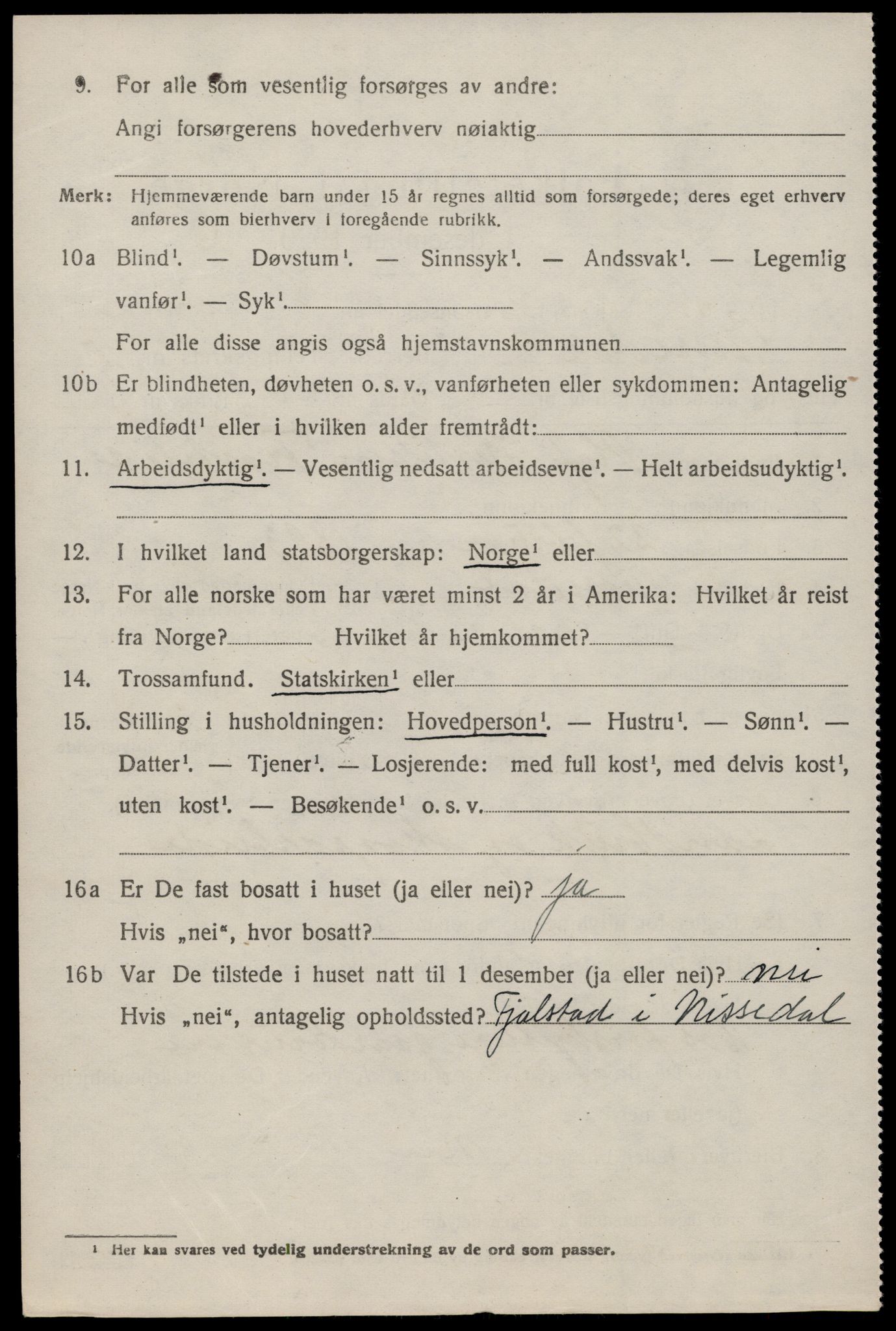 SAKO, 1920 census for Nissedal, 1920, p. 1828