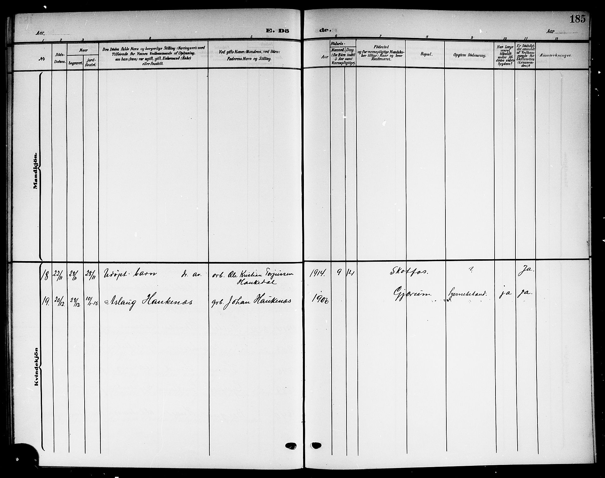 Solum kirkebøker, SAKO/A-306/G/Gb/L0005: Parish register (copy) no. II 5, 1905-1914, p. 185
