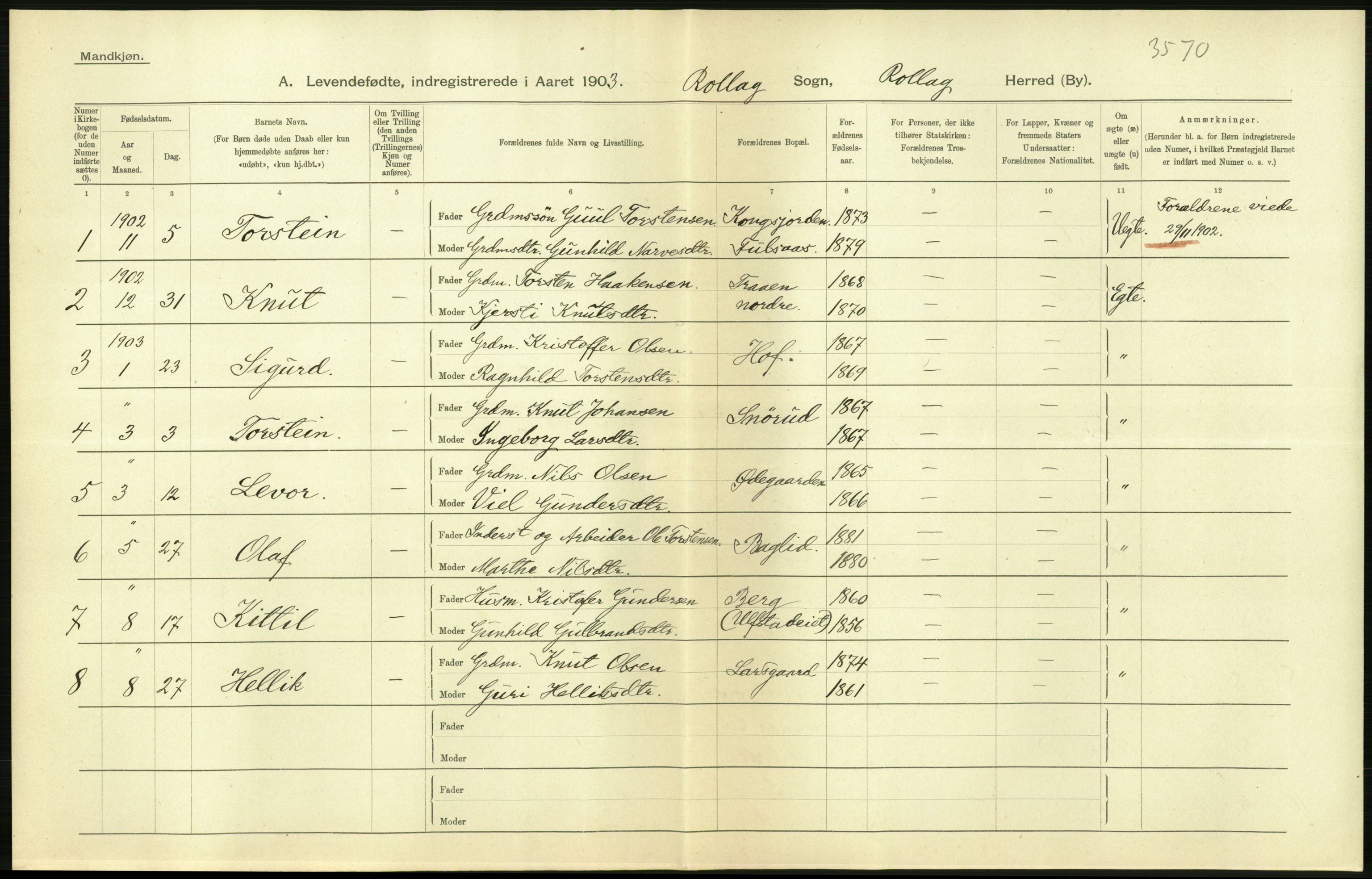 Statistisk sentralbyrå, Sosiodemografiske emner, Befolkning, AV/RA-S-2228/D/Df/Dfa/Dfaa/L0007: Buskeruds amt: Fødte, gifte, døde, 1903, p. 20