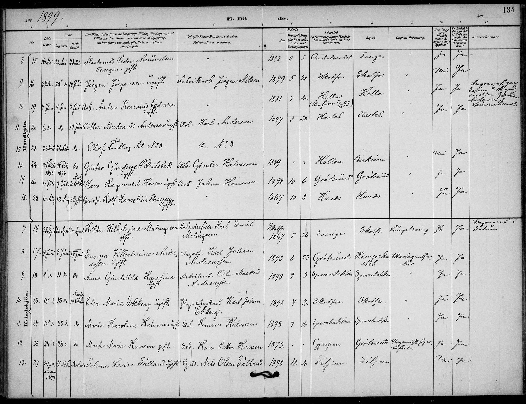 Solum kirkebøker, SAKO/A-306/F/Fb/L0002: Parish register (official) no. II 2, 1893-1901, p. 134