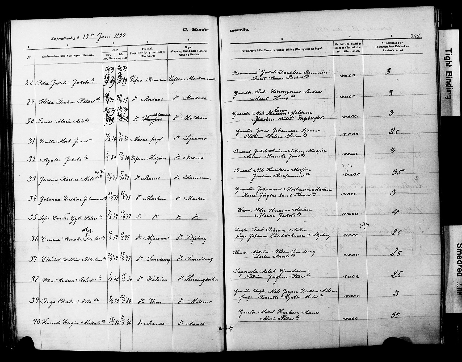 Ministerialprotokoller, klokkerbøker og fødselsregistre - Nordland, AV/SAT-A-1459/820/L0295: Parish register (official) no. 820A16, 1880-1896, p. 255