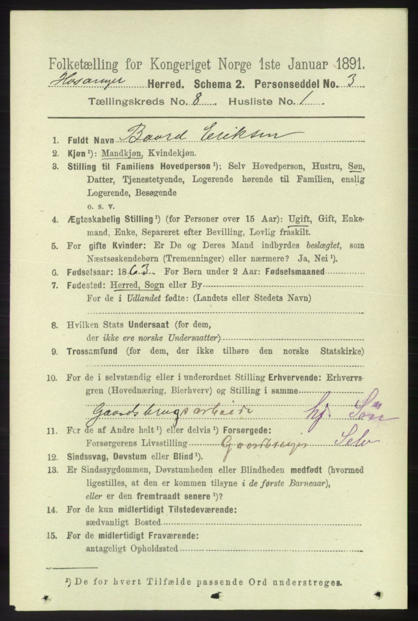 RA, 1891 census for 1253 Hosanger, 1891, p. 2954