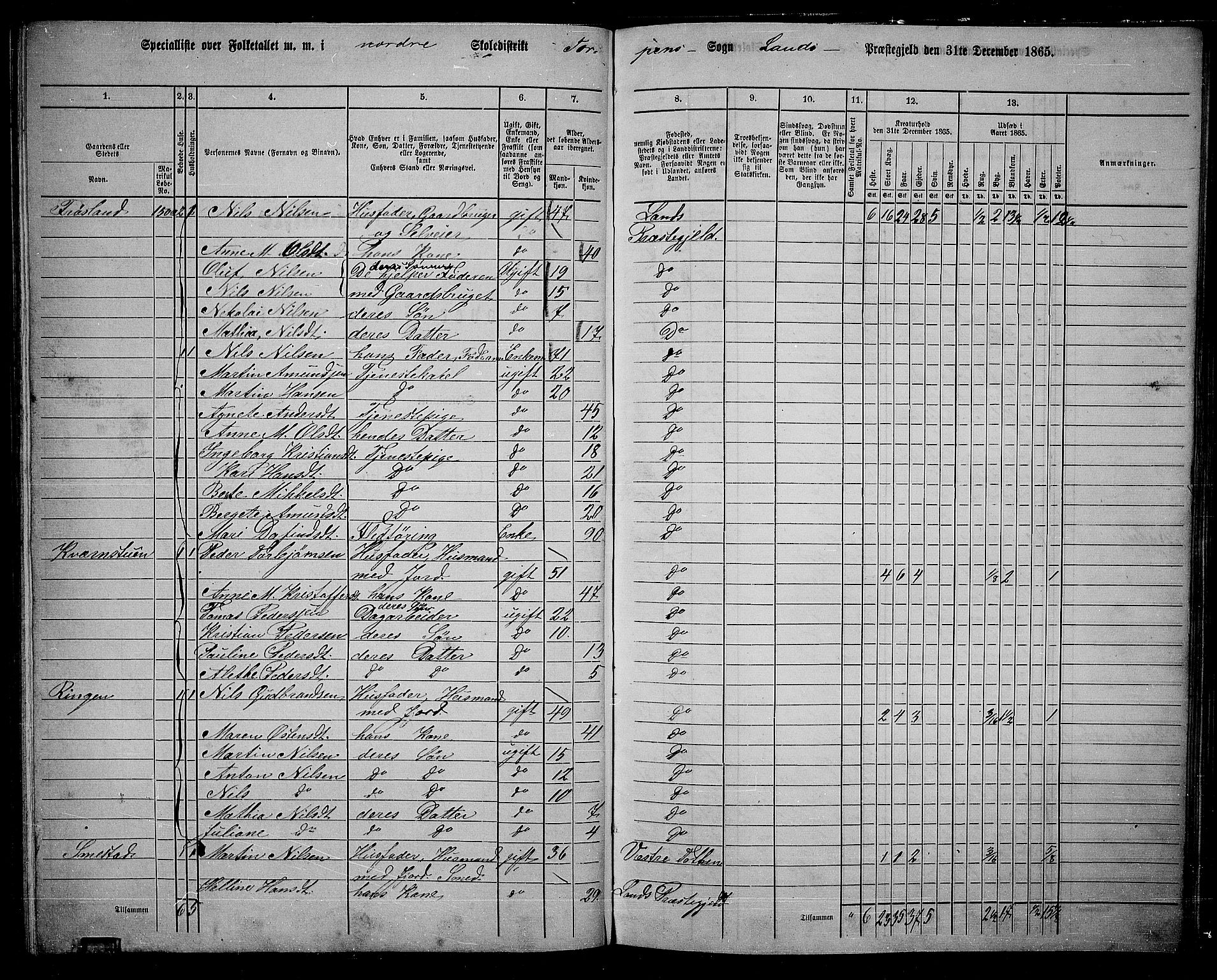 RA, 1865 census for Land, 1865, p. 124