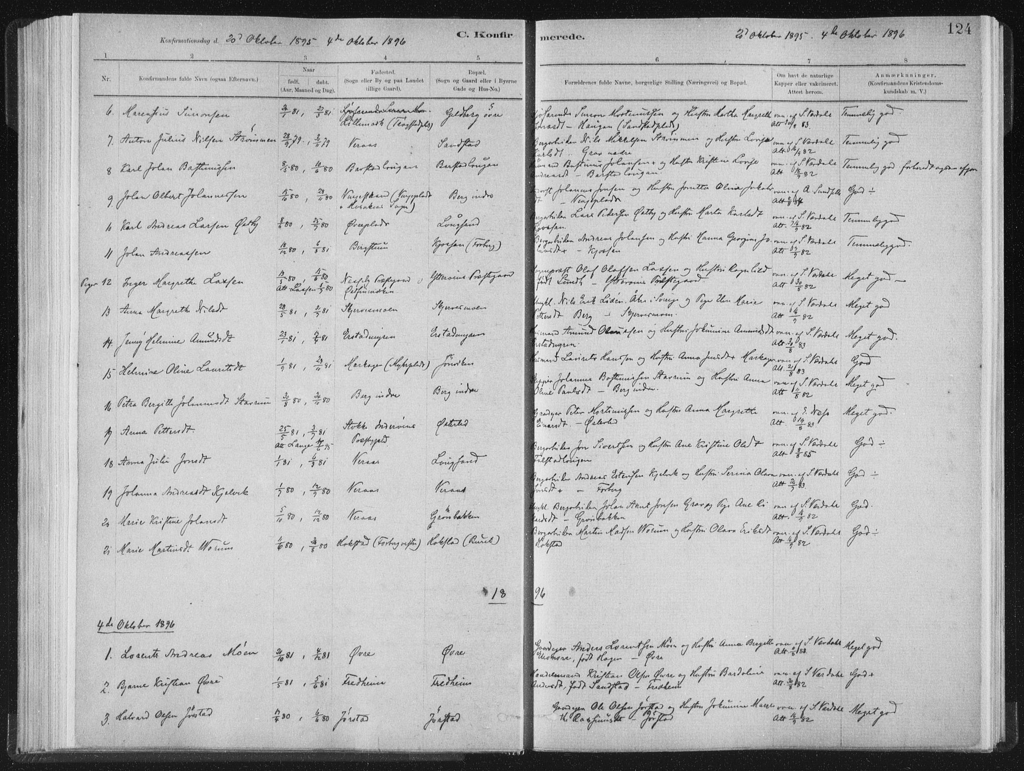 Ministerialprotokoller, klokkerbøker og fødselsregistre - Nord-Trøndelag, SAT/A-1458/722/L0220: Parish register (official) no. 722A07, 1881-1908, p. 124