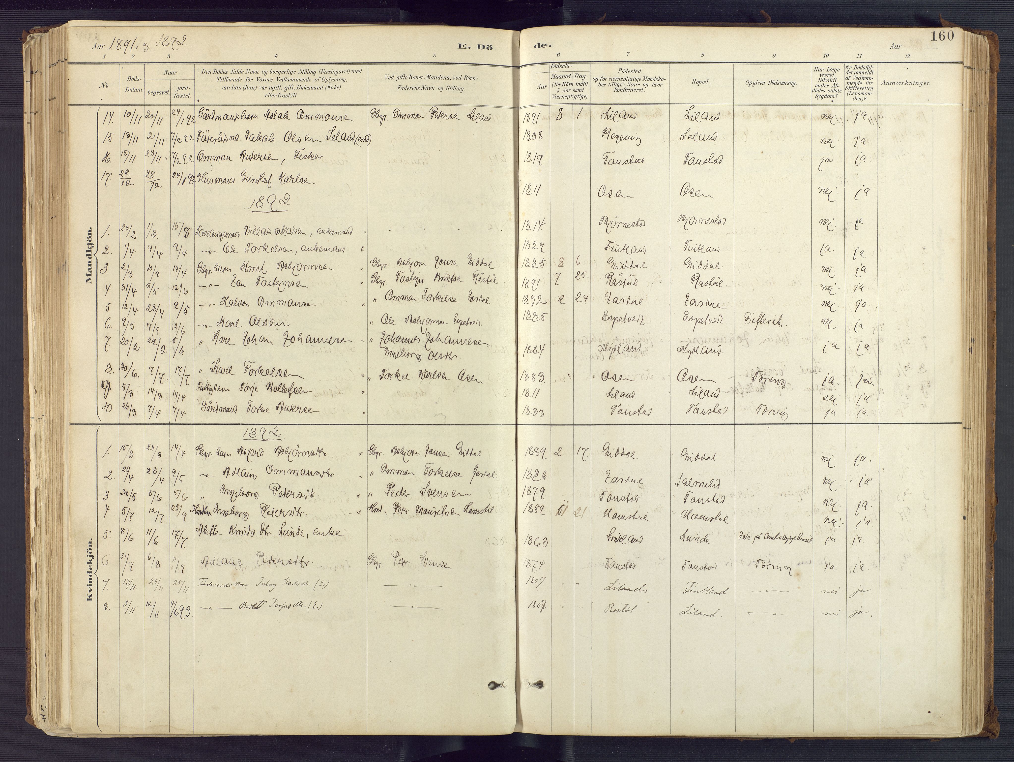Sirdal sokneprestkontor, SAK/1111-0036/F/Fa/Fab/L0004: Parish register (official) no. A 4, 1887-1919, p. 160