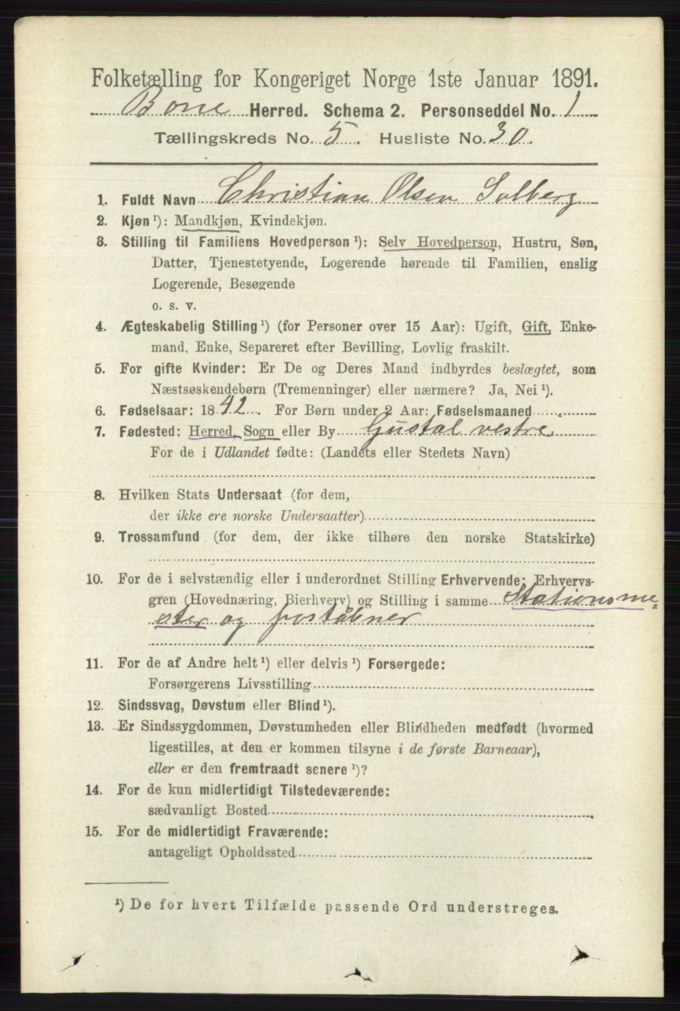 RA, 1891 census for 0717 Borre, 1891, p. 2202