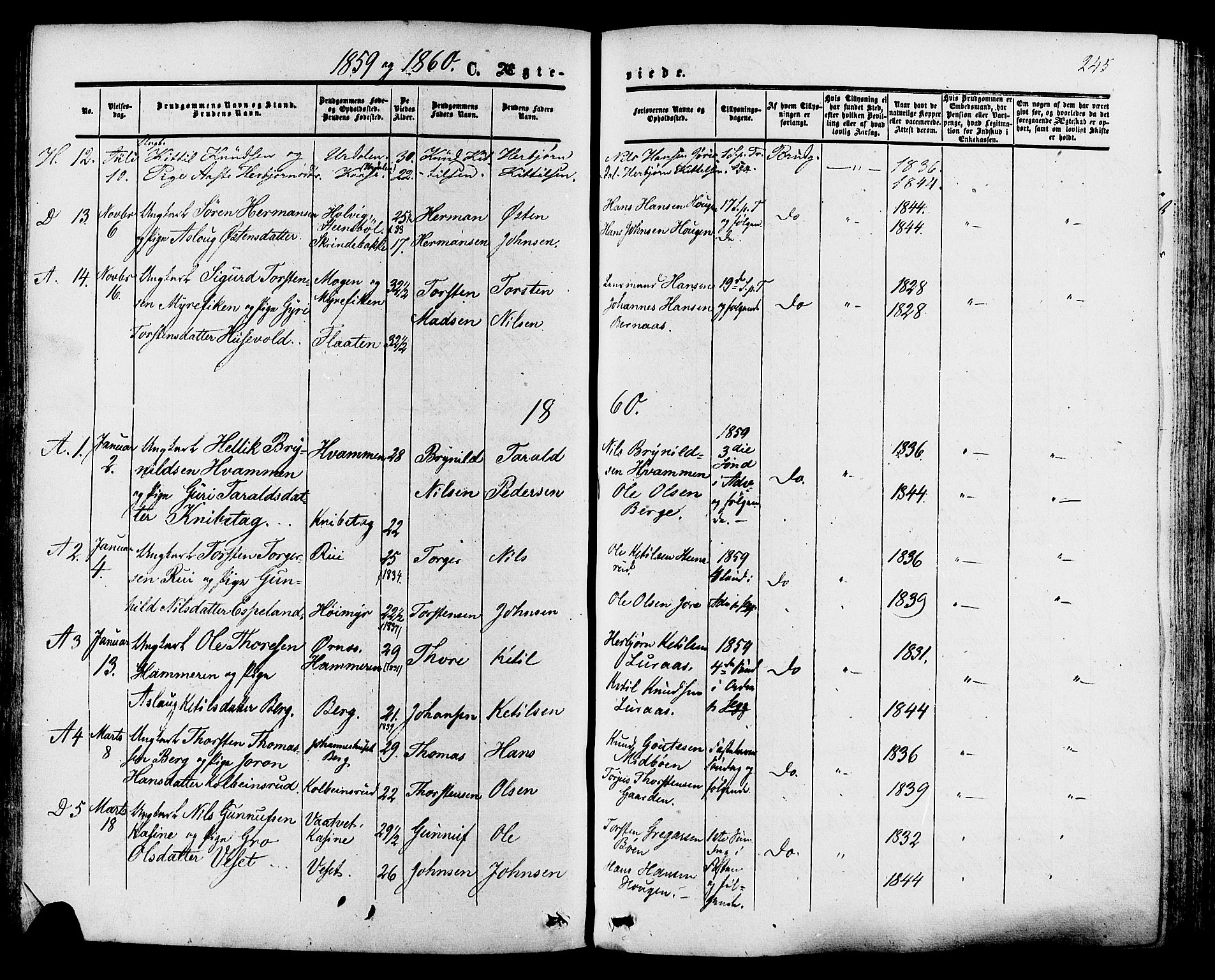 Tinn kirkebøker, SAKO/A-308/F/Fa/L0006: Parish register (official) no. I 6, 1857-1878, p. 245