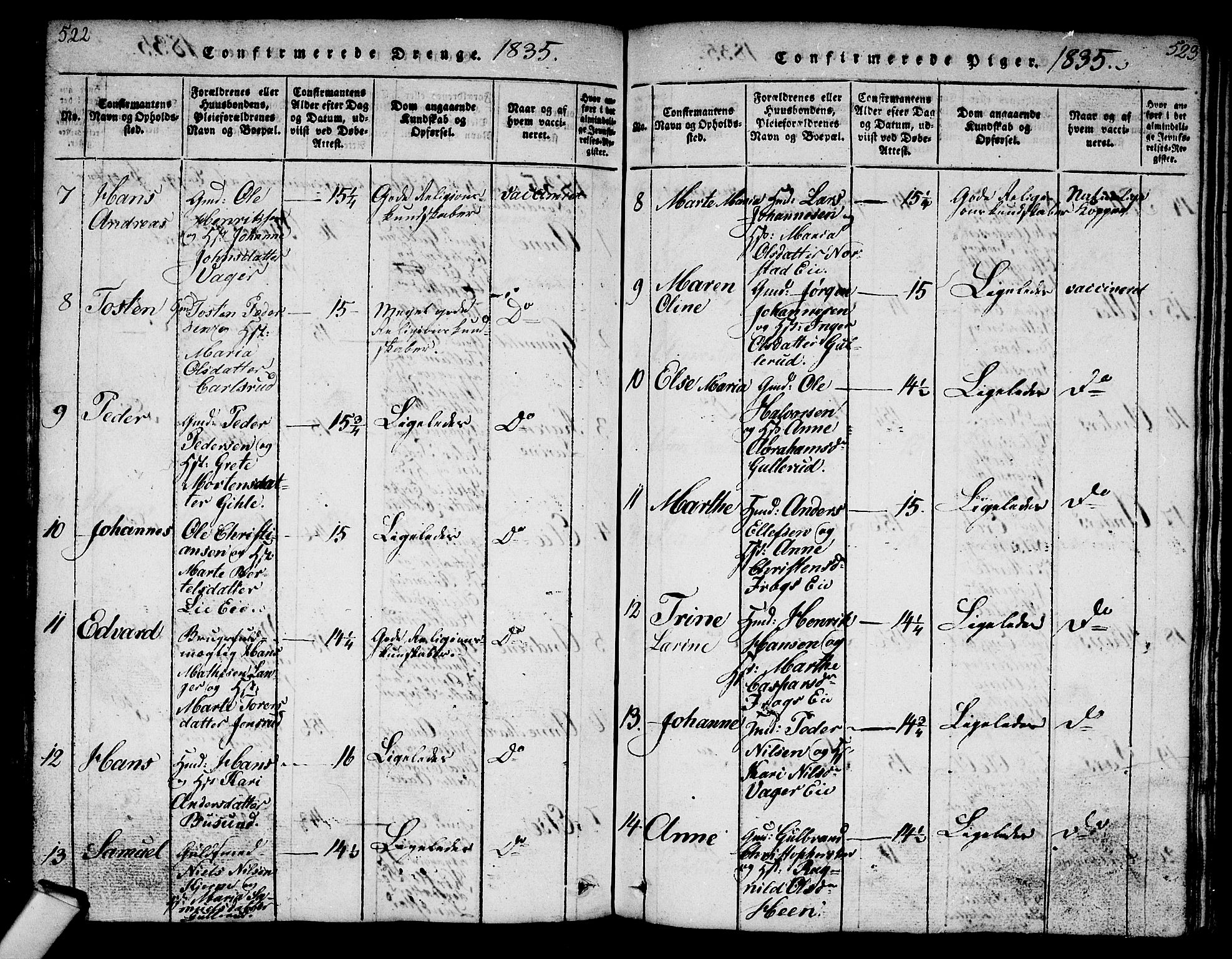 Norderhov kirkebøker, SAKO/A-237/G/Ga/L0003: Parish register (copy) no. I 3 /1, 1814-1876, p. 522-523