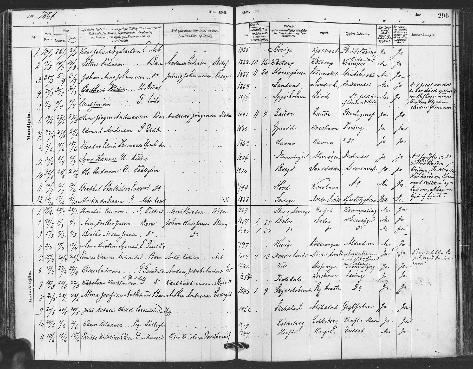 Hvaler prestekontor Kirkebøker, SAO/A-2001/F/Fa/L0008: Parish register (official) no. I 8, 1878-1895, p. 296