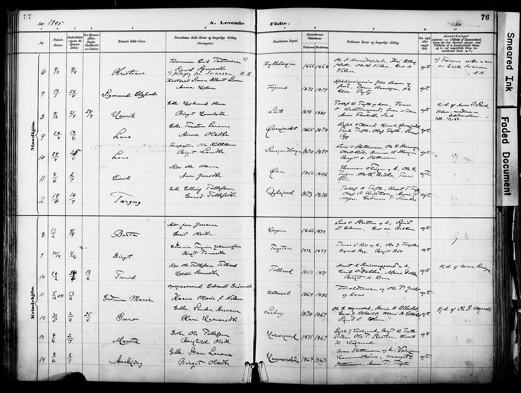 Hol kirkebøker, AV/SAKO-A-227/F/Fa/L0003: Parish register (official) no. I 3, 1887-1918, p. 76