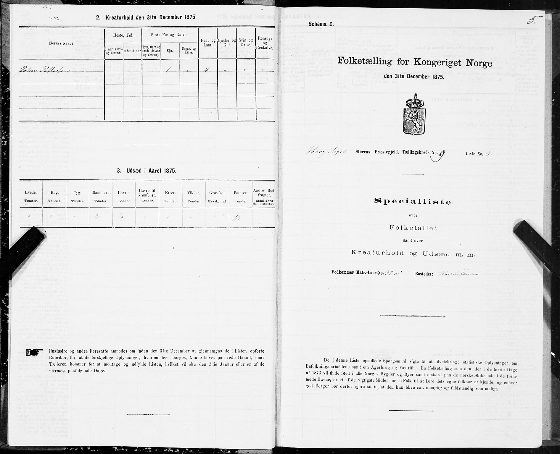 SAT, 1875 census for 1648P Støren, 1875, p. 5005