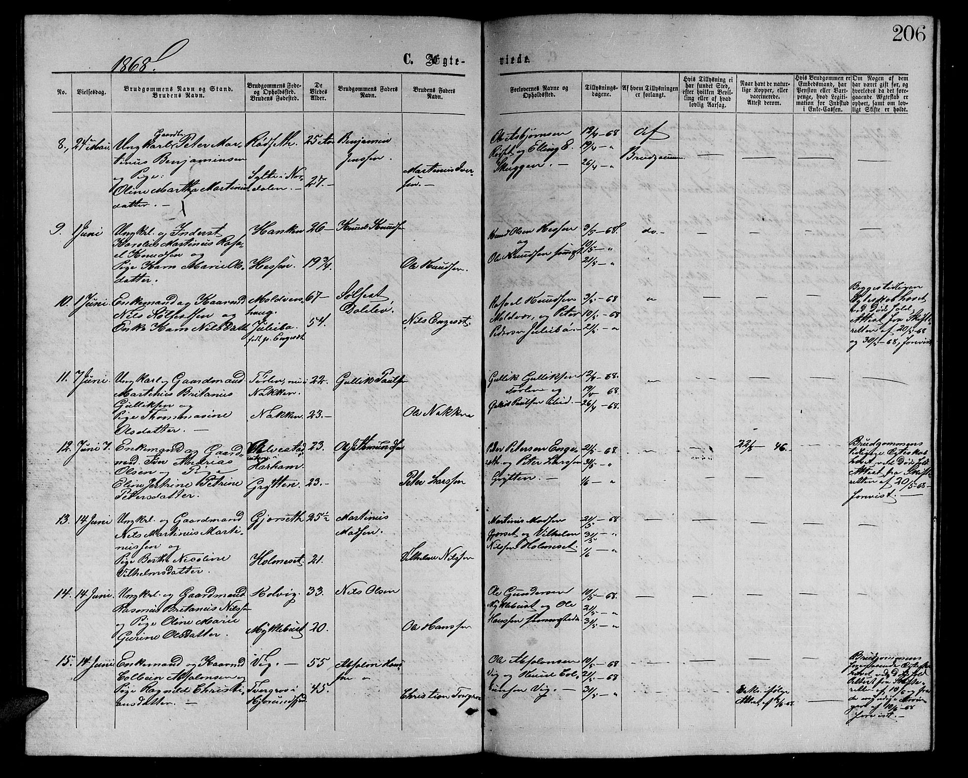 Ministerialprotokoller, klokkerbøker og fødselsregistre - Møre og Romsdal, AV/SAT-A-1454/528/L0428: Parish register (copy) no. 528C09, 1864-1880, p. 206